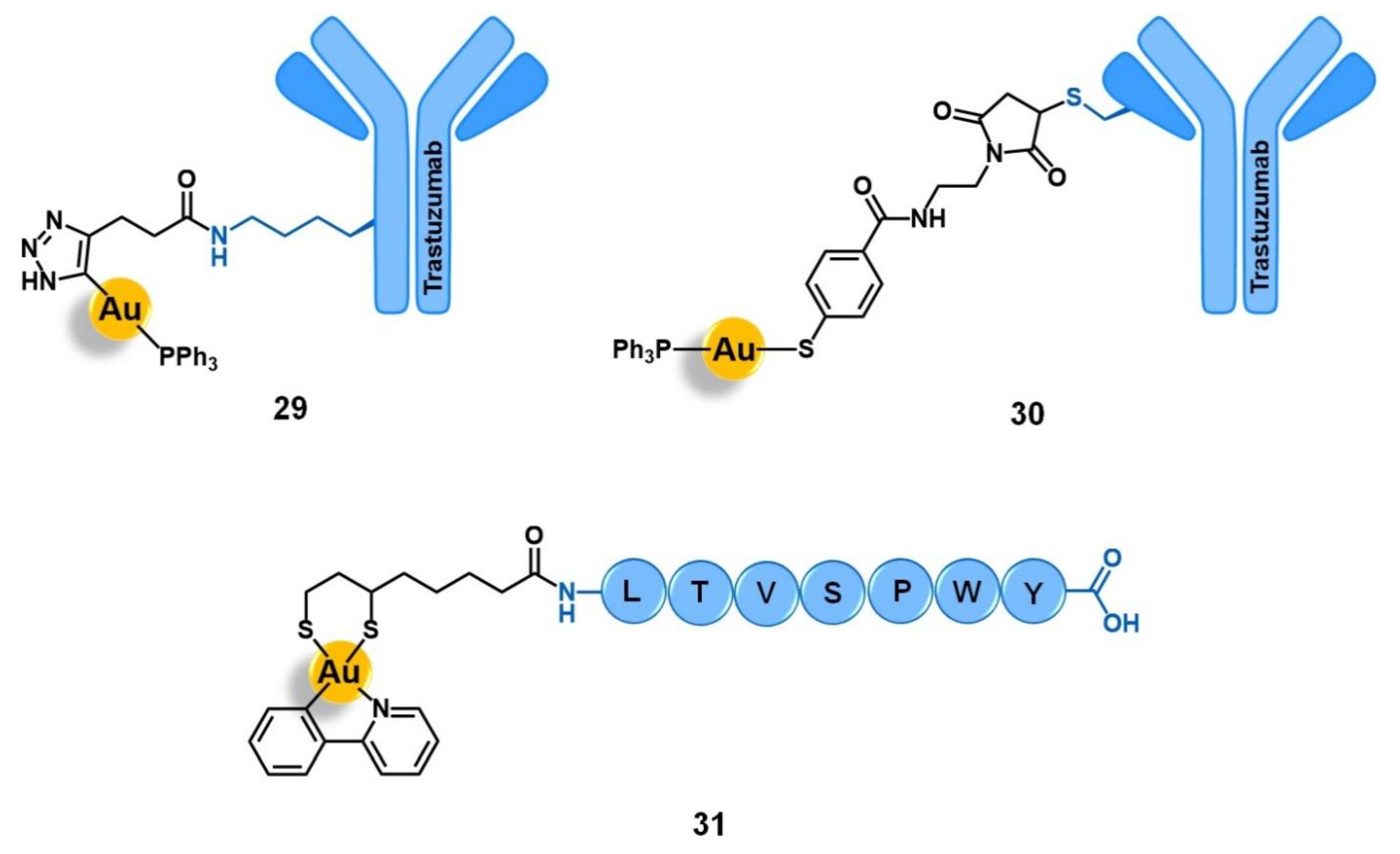 Molecules 26 03153 g010 Molecules 26 03153 g010