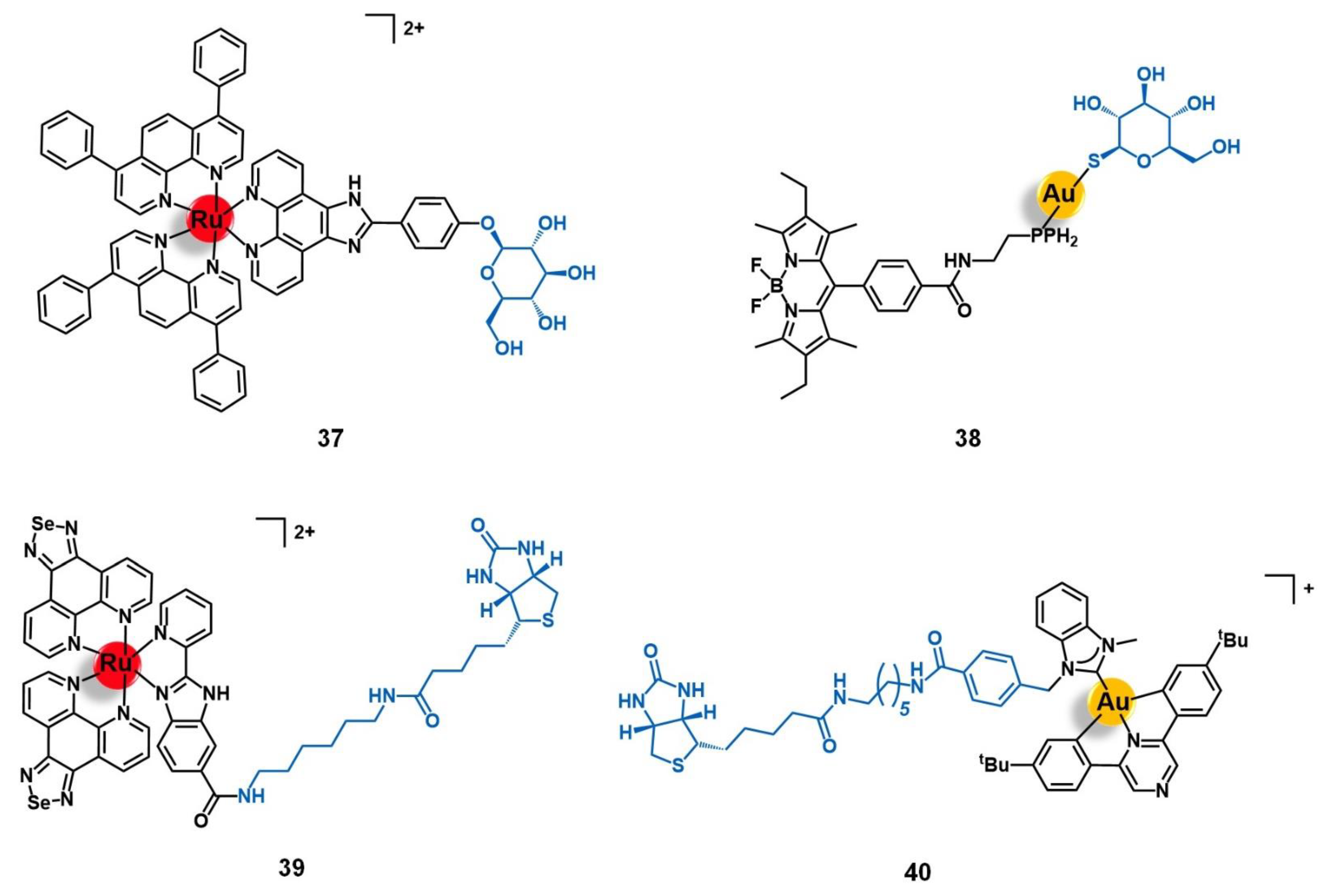 Molecules 26 03153 g013 Molecules 26 03153 g013