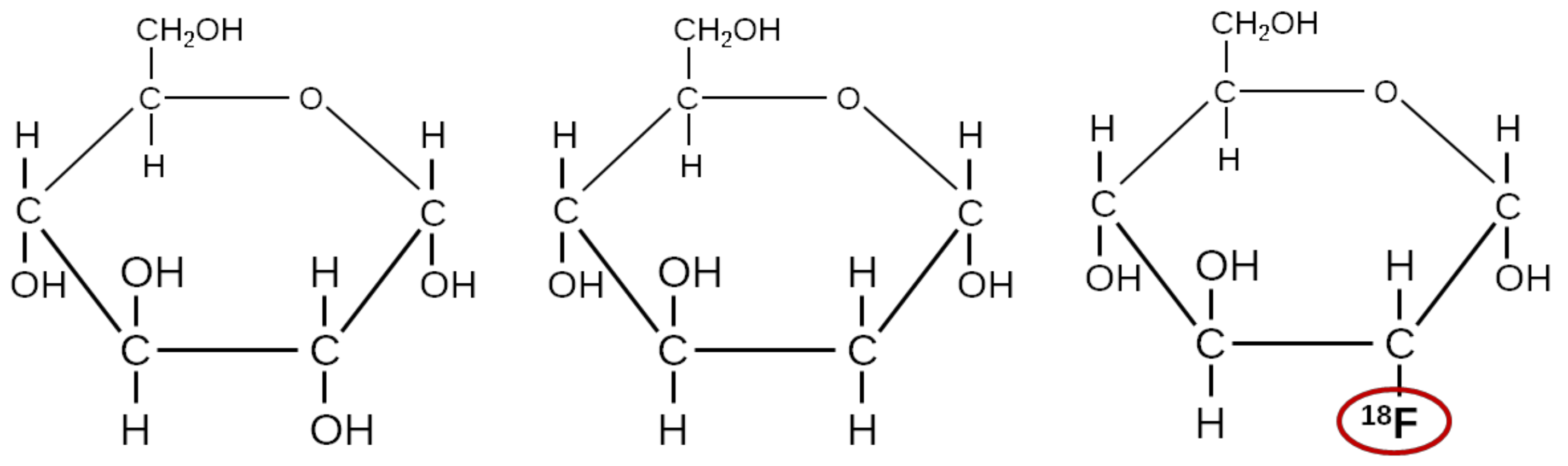 Molecules 26 03159 g001