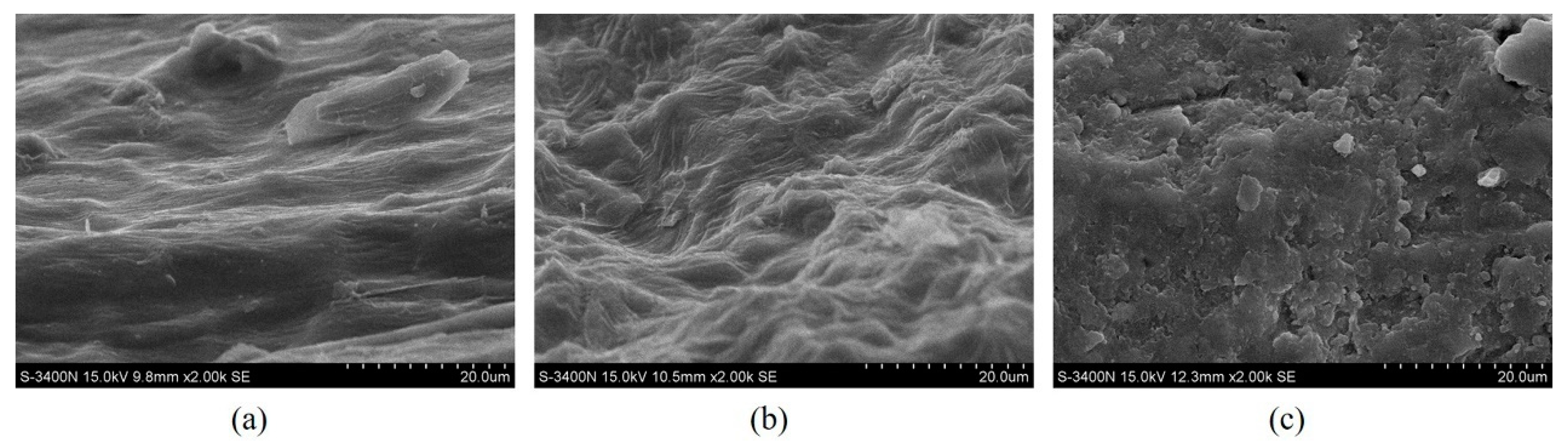 Molecules 26 03169 g005