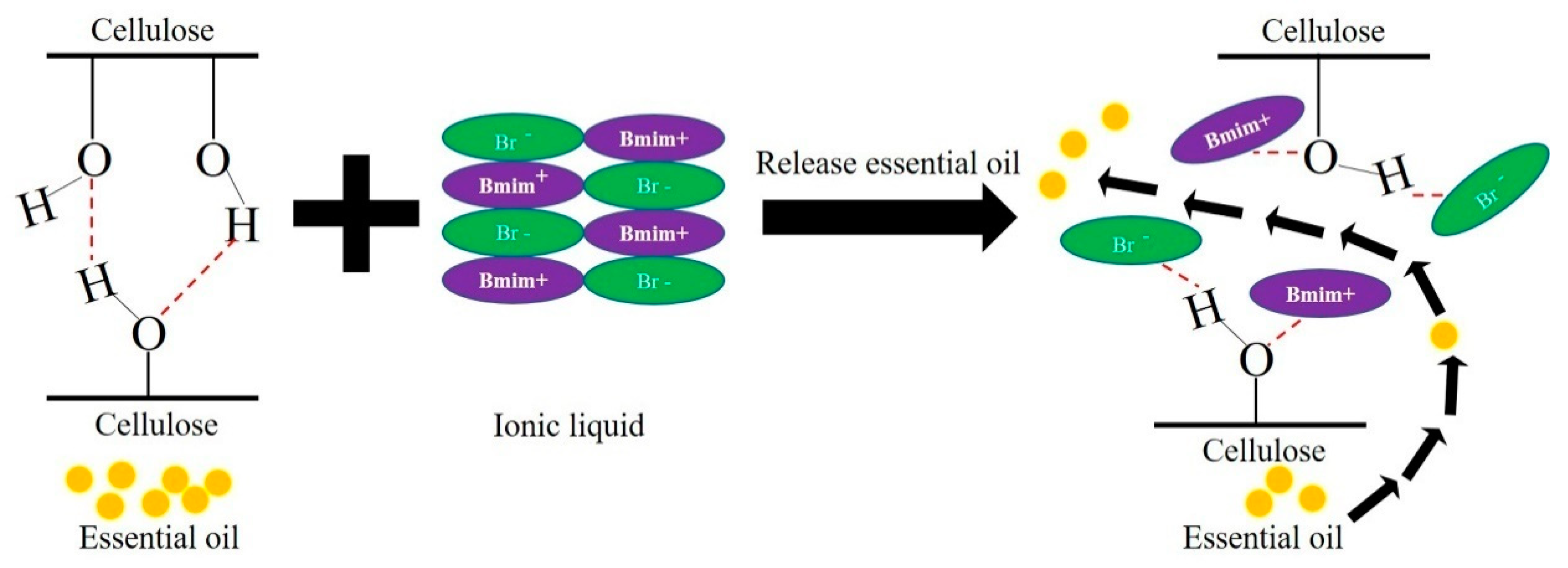 Molecules 26 03169 g010