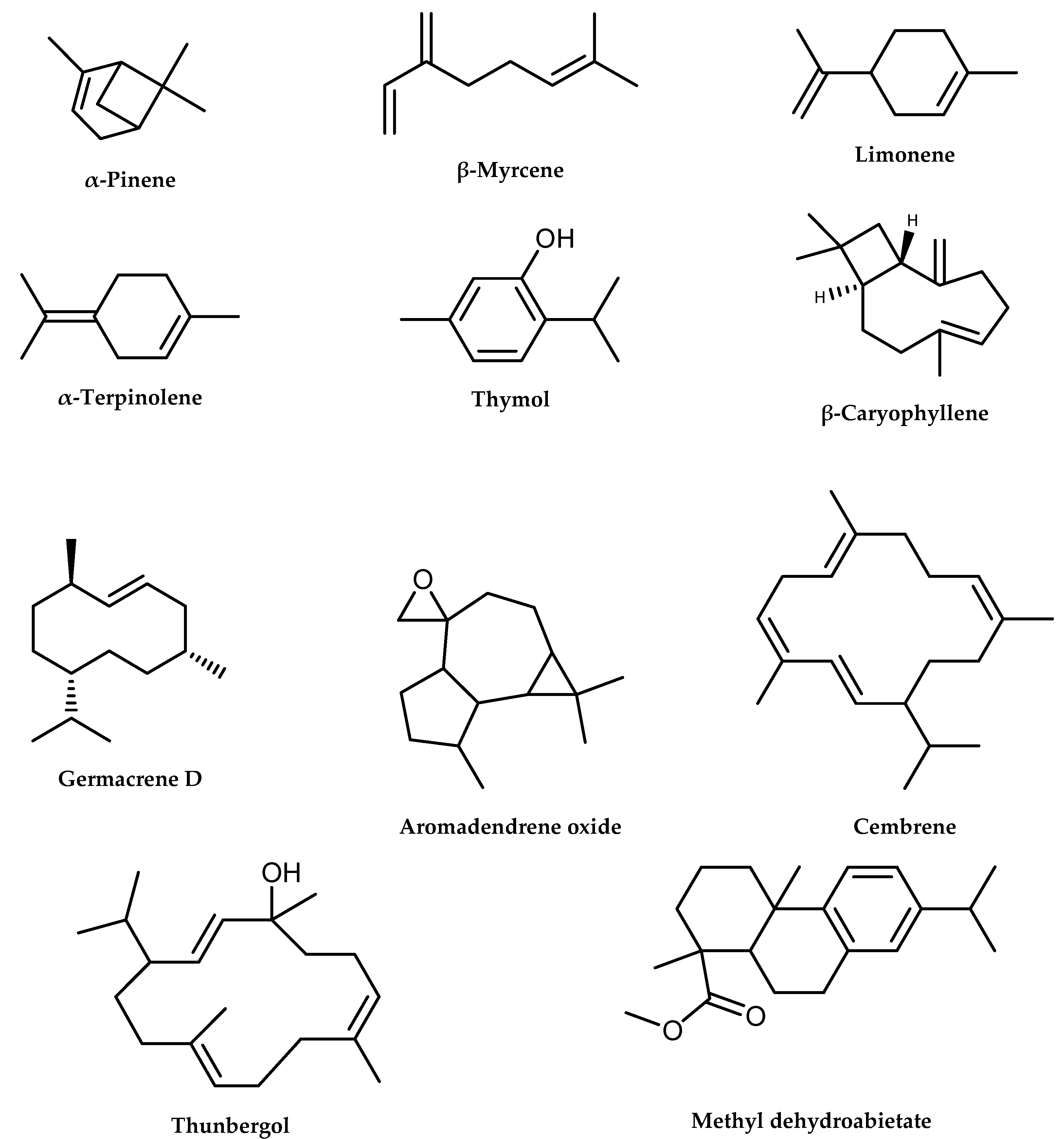 Molecules 26 03170 g001