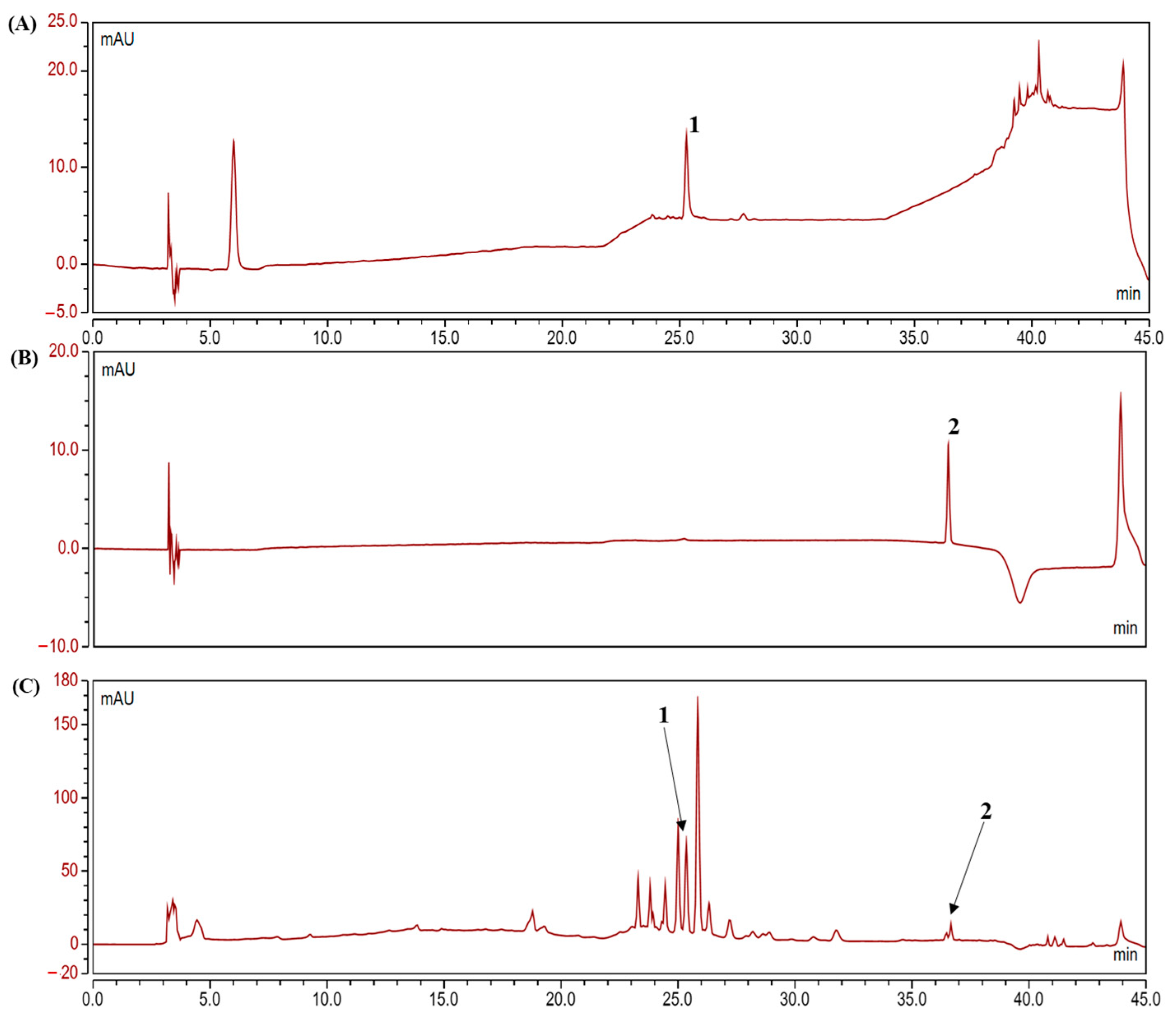 Molecules 26 03174 g001