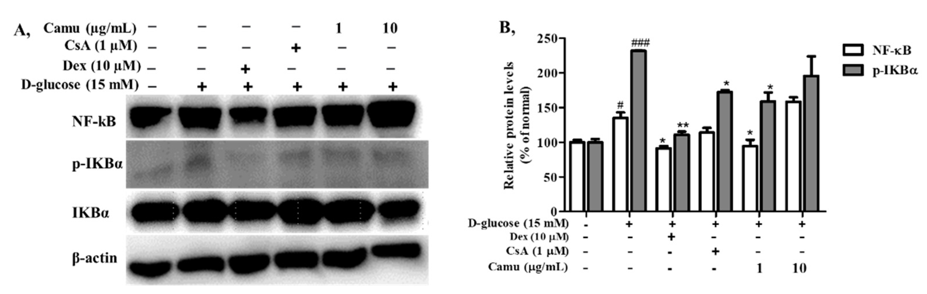 Molecules 26 03174 g005