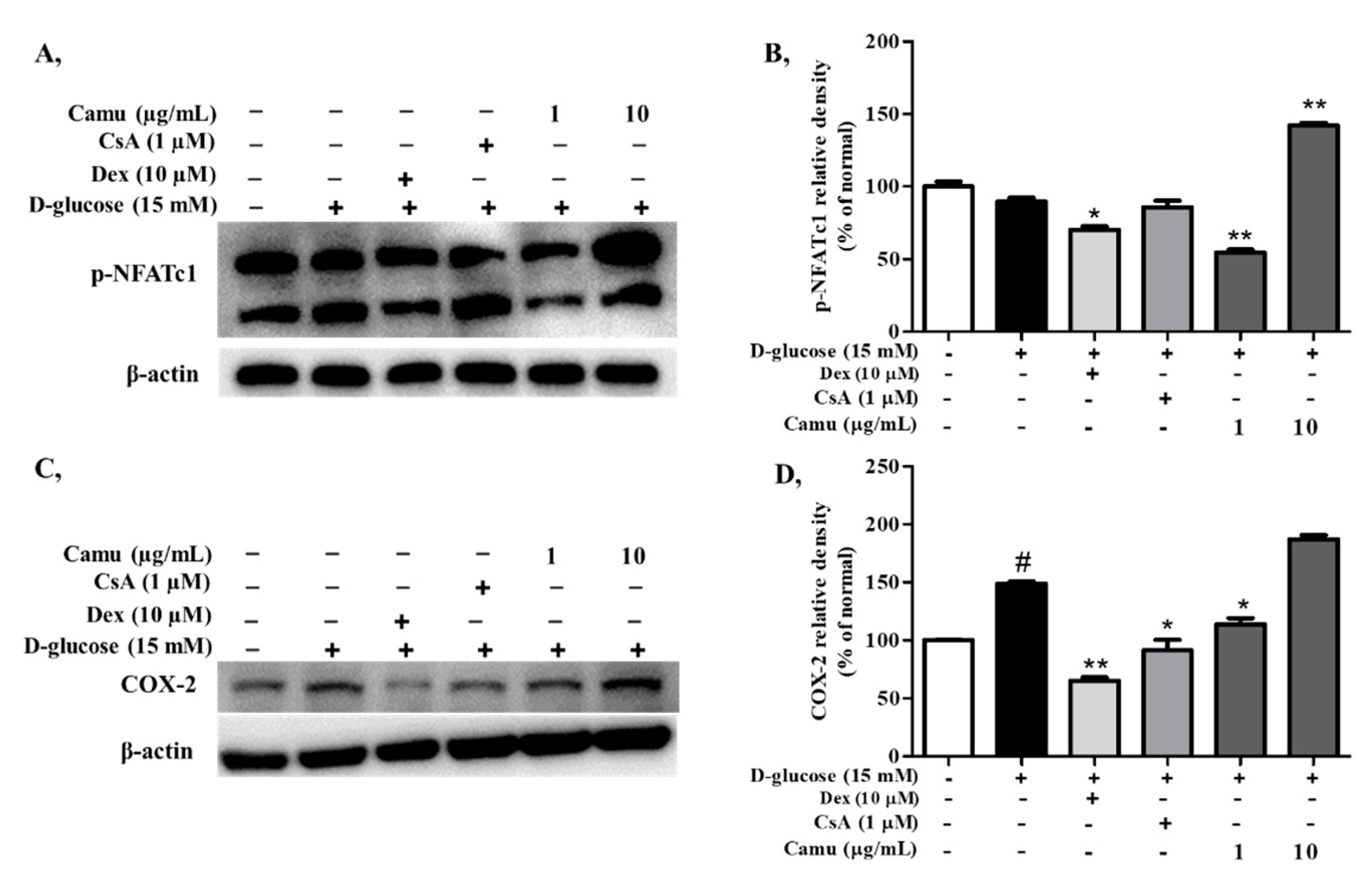 Molecules 26 03174 g006