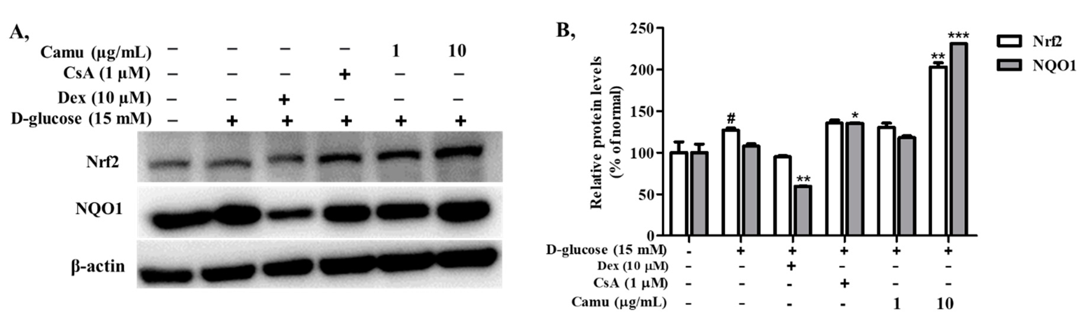 Molecules 26 03174 g007