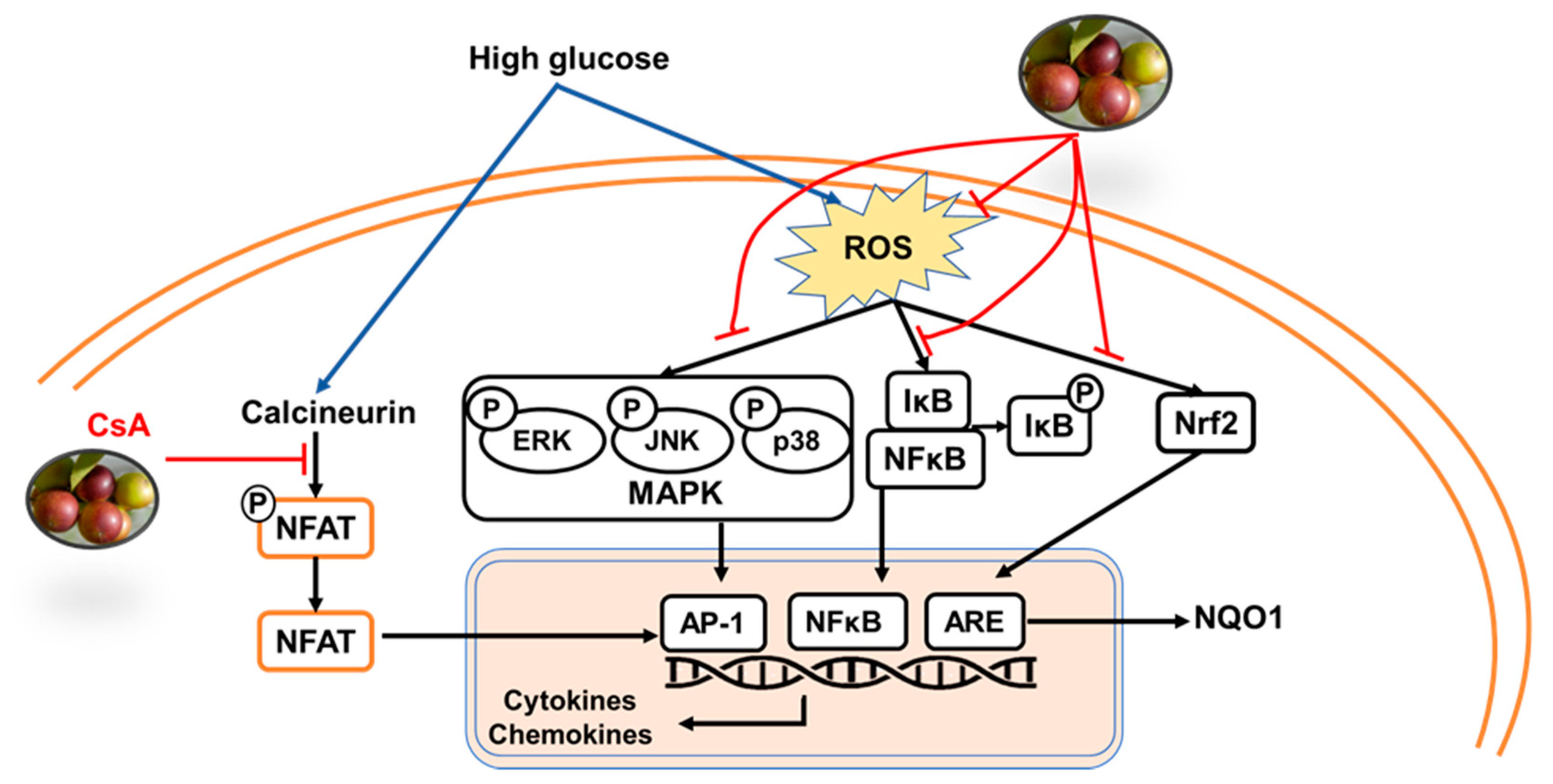 Molecules 26 03174 g008