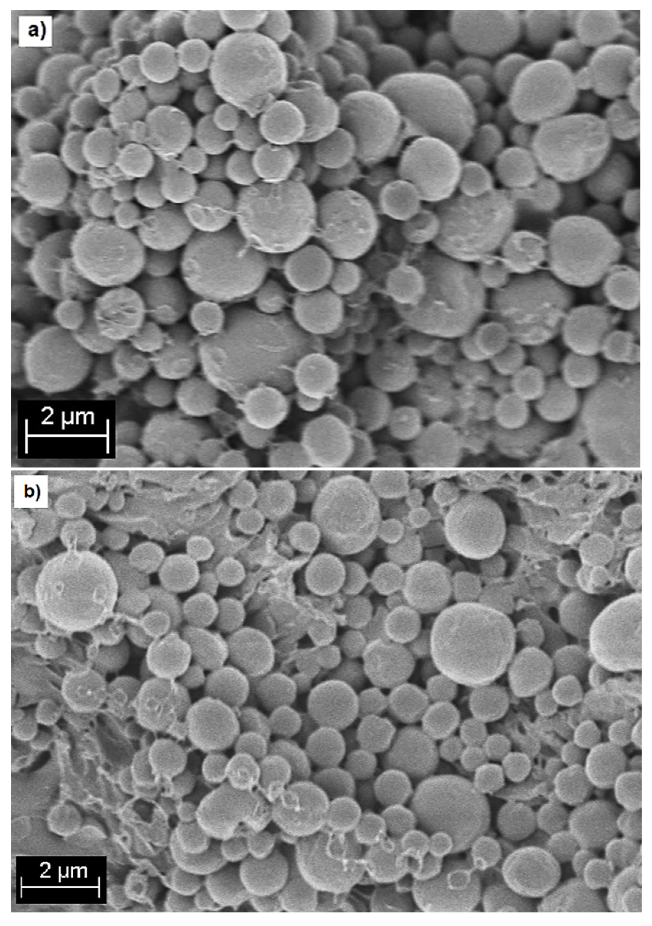 Molecules 26 03177 g002a