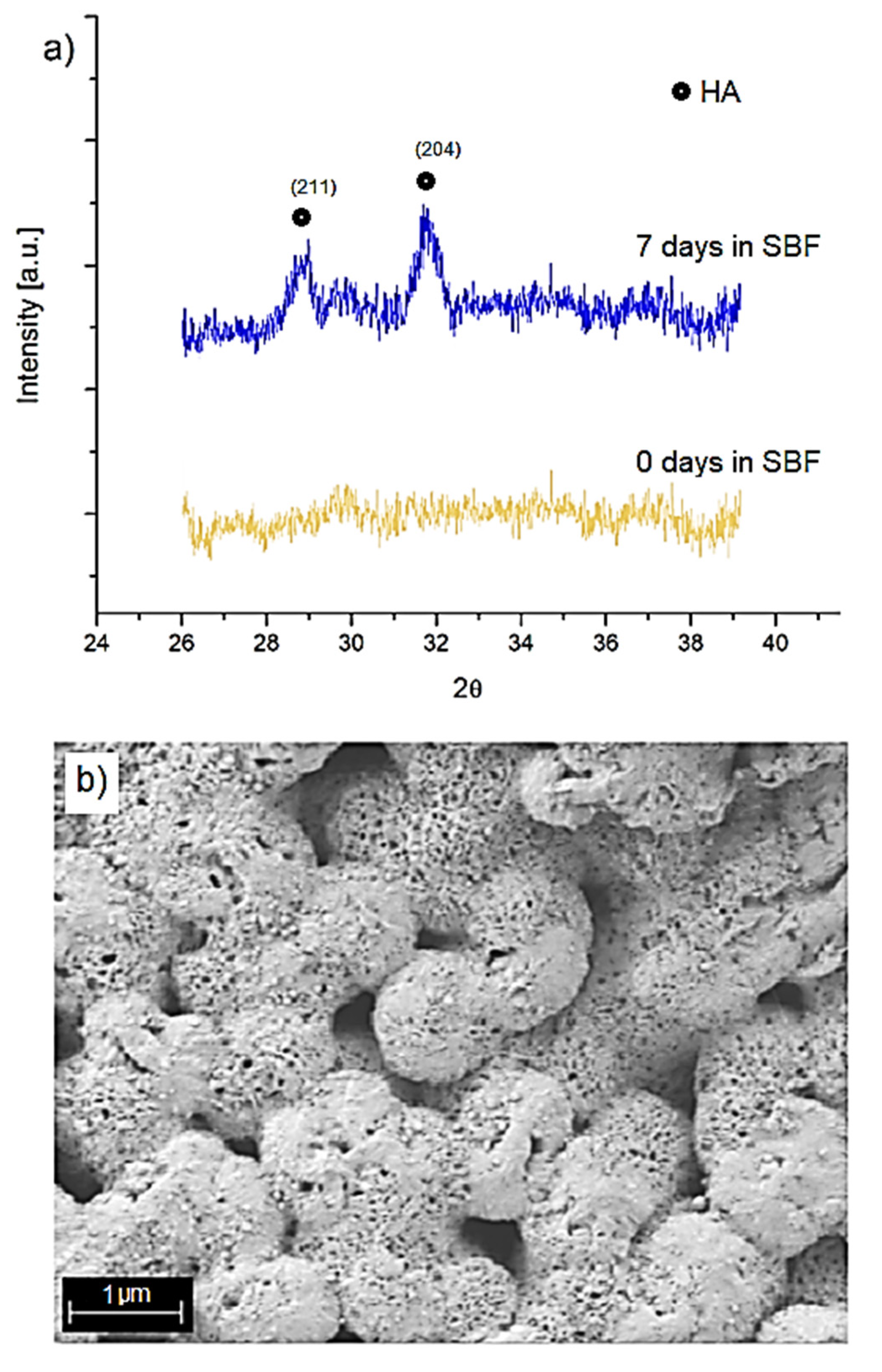 Molecules 26 03177 g011
