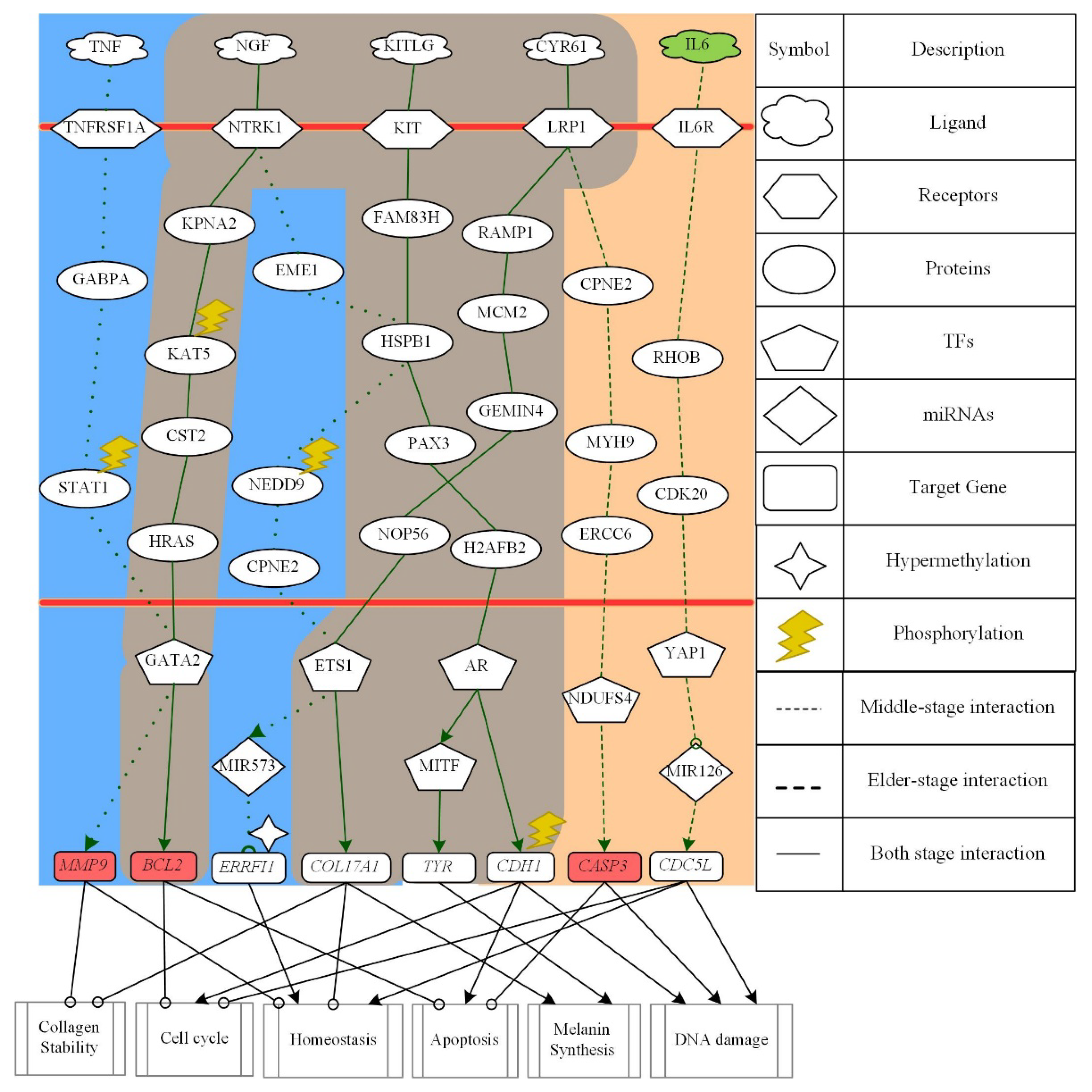 Molecules 26 03178 g005 Molecules 26 03178 g005