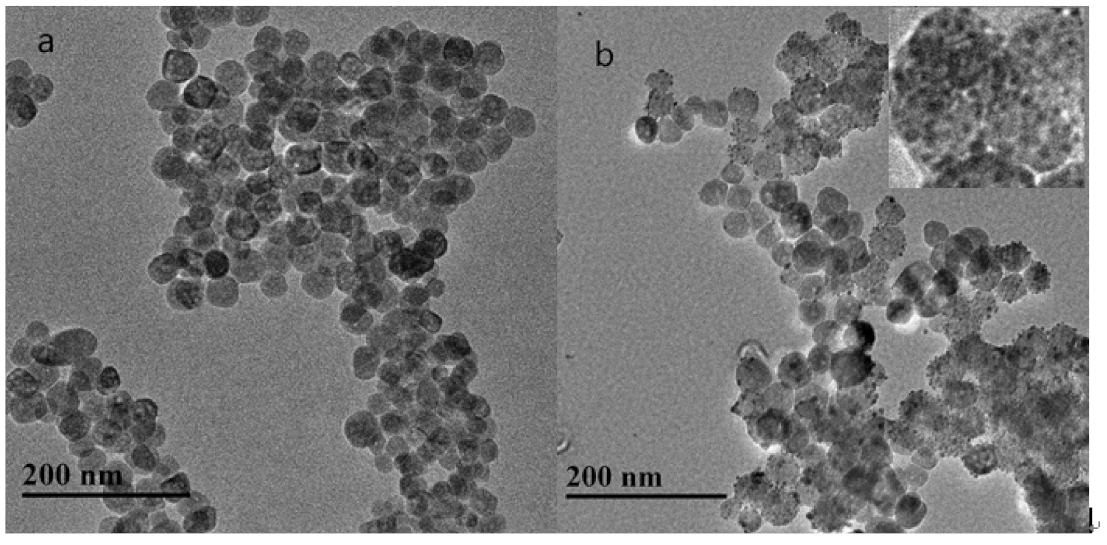 Molecules 26 03180 g001 Molecules 26 03180 g001