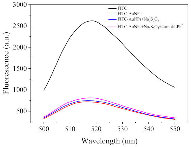 Molecules 26 03180 g003 Molecules 26 03180 g003
