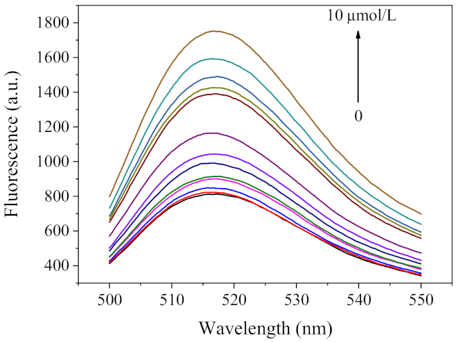 Molecules 26 03180 g010 Molecules 26 03180 g010