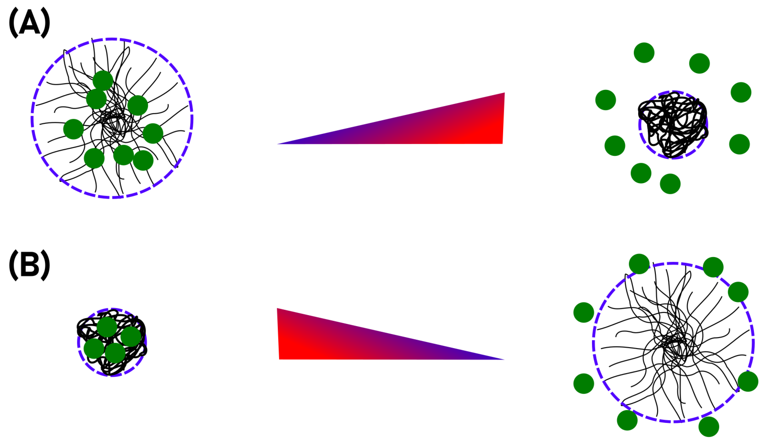 Molecules 26 03181 g001 Molecules 26 03181 g001