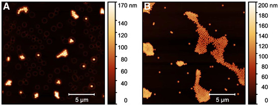 Molecules 26 03181 g0a6