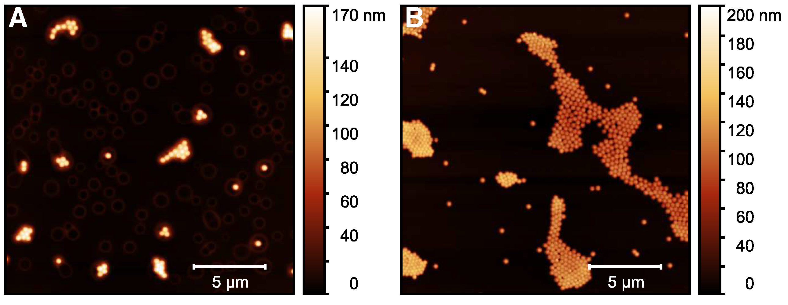 Molecules 26 03181 g0a6 Molecules 26 03181 g0a6