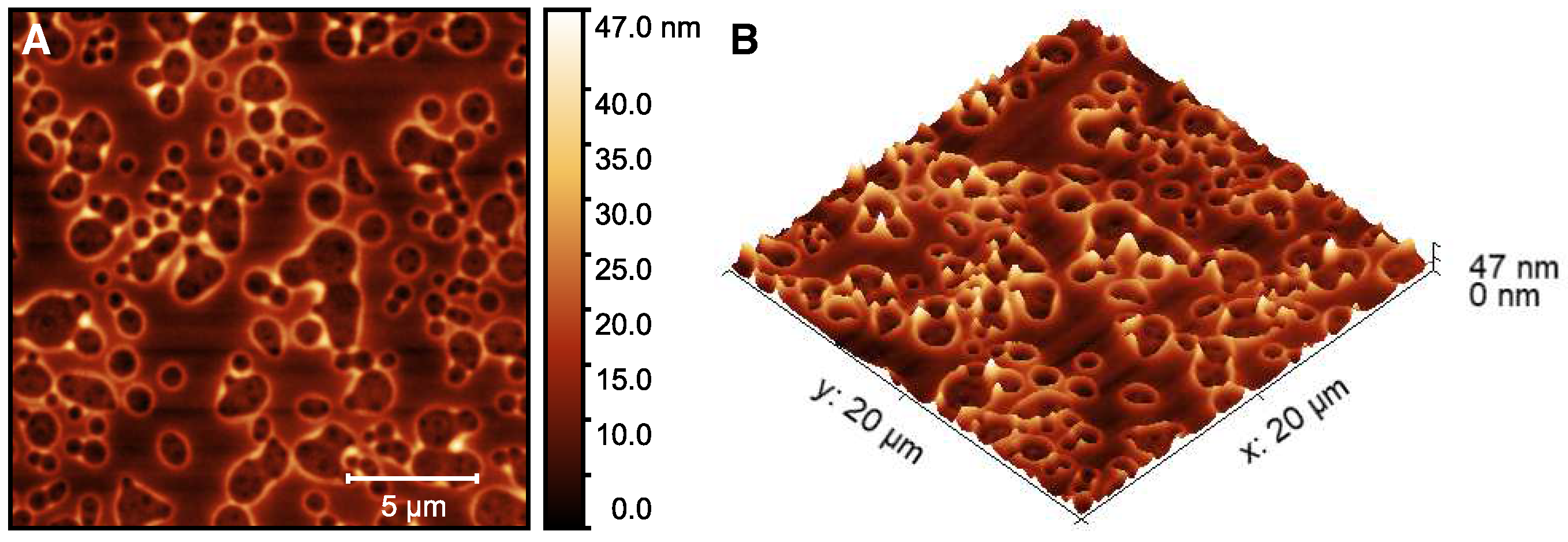 Molecules 26 03181 g0a7 Molecules 26 03181 g0a7