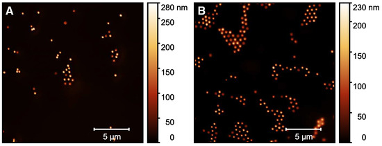 Molecules 26 03181 g0a8