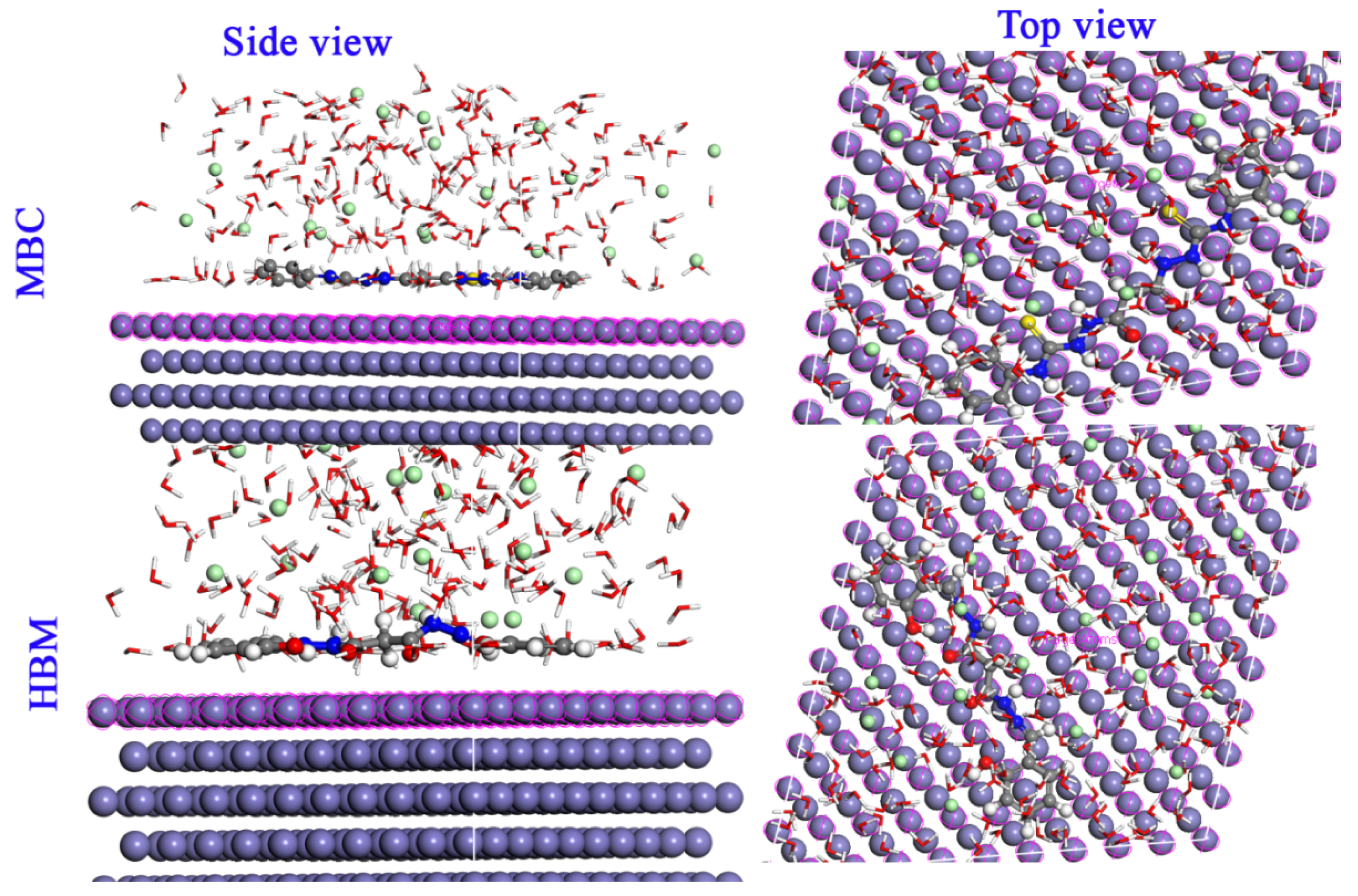 Molecules 26 03183 g007