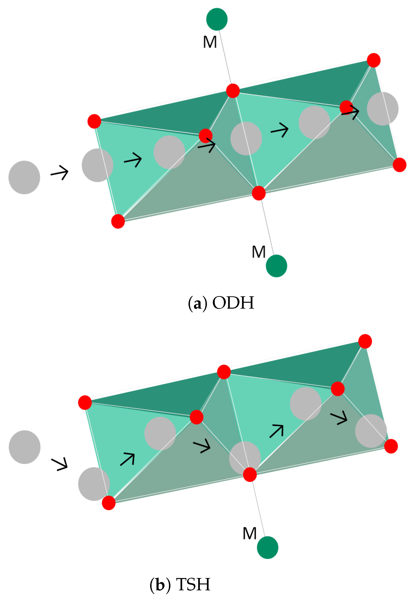 Molecules 26 03188 g005