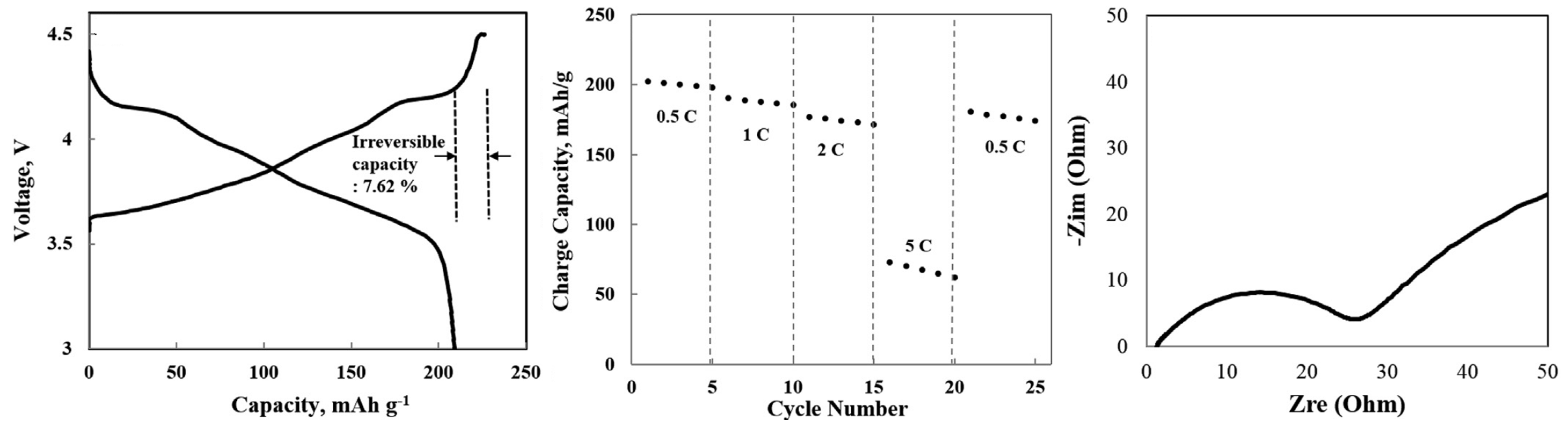 Molecules 26 03188 g017