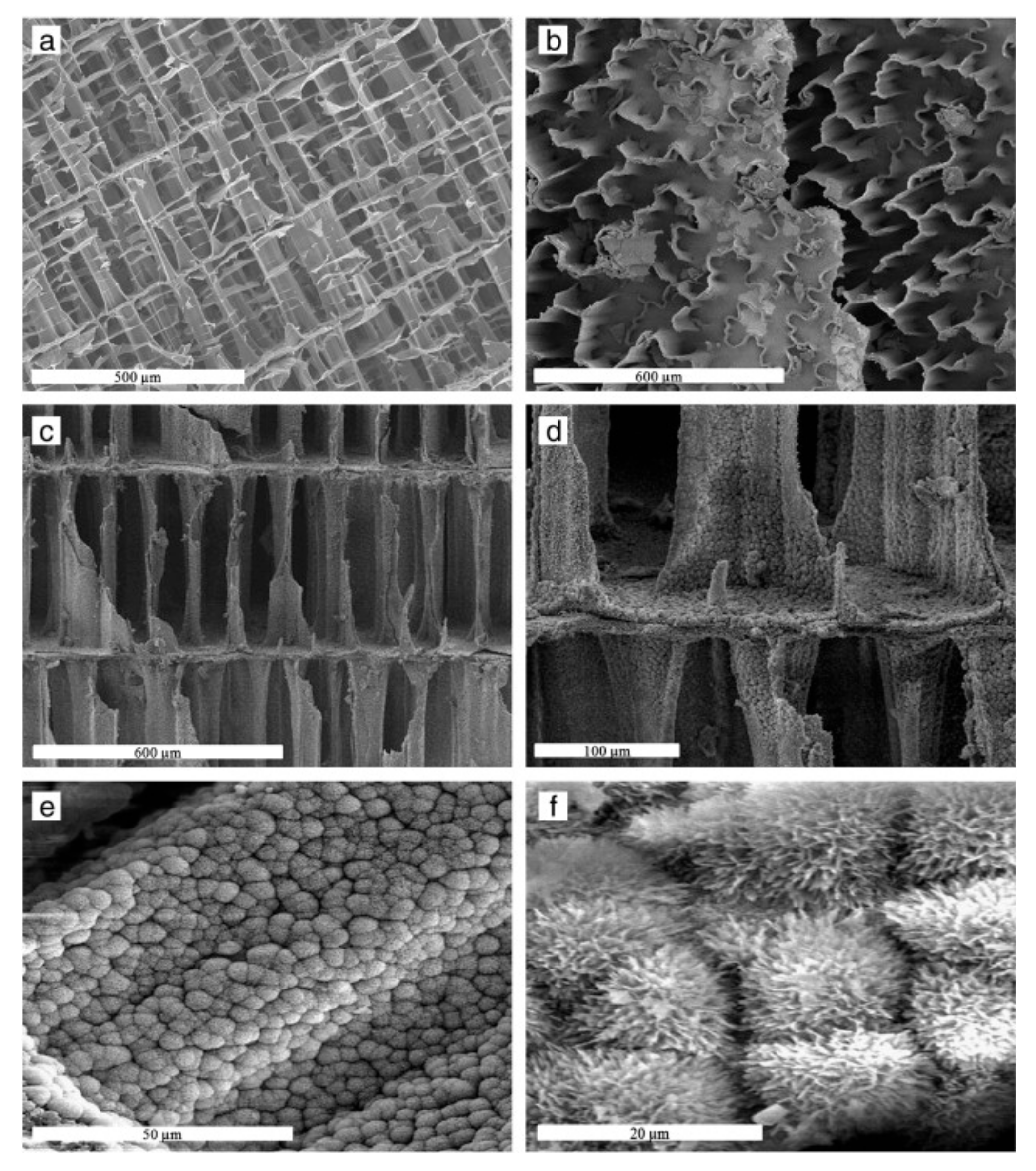 Molecules 26 03190 g002 Molecules 26 03190 g002