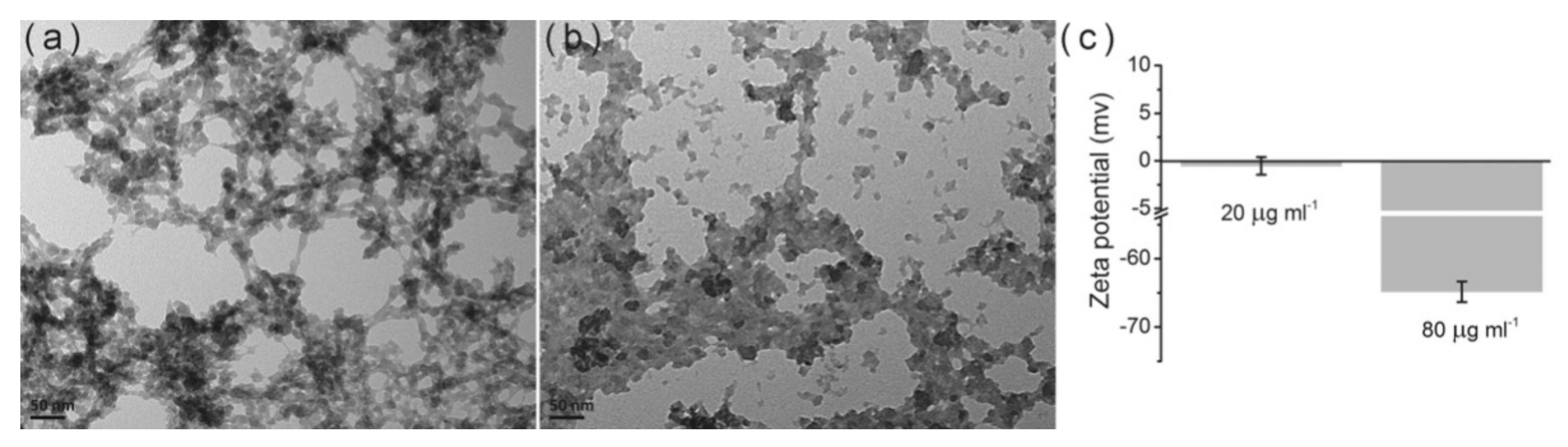 Molecules 26 03190 g003 Molecules 26 03190 g003