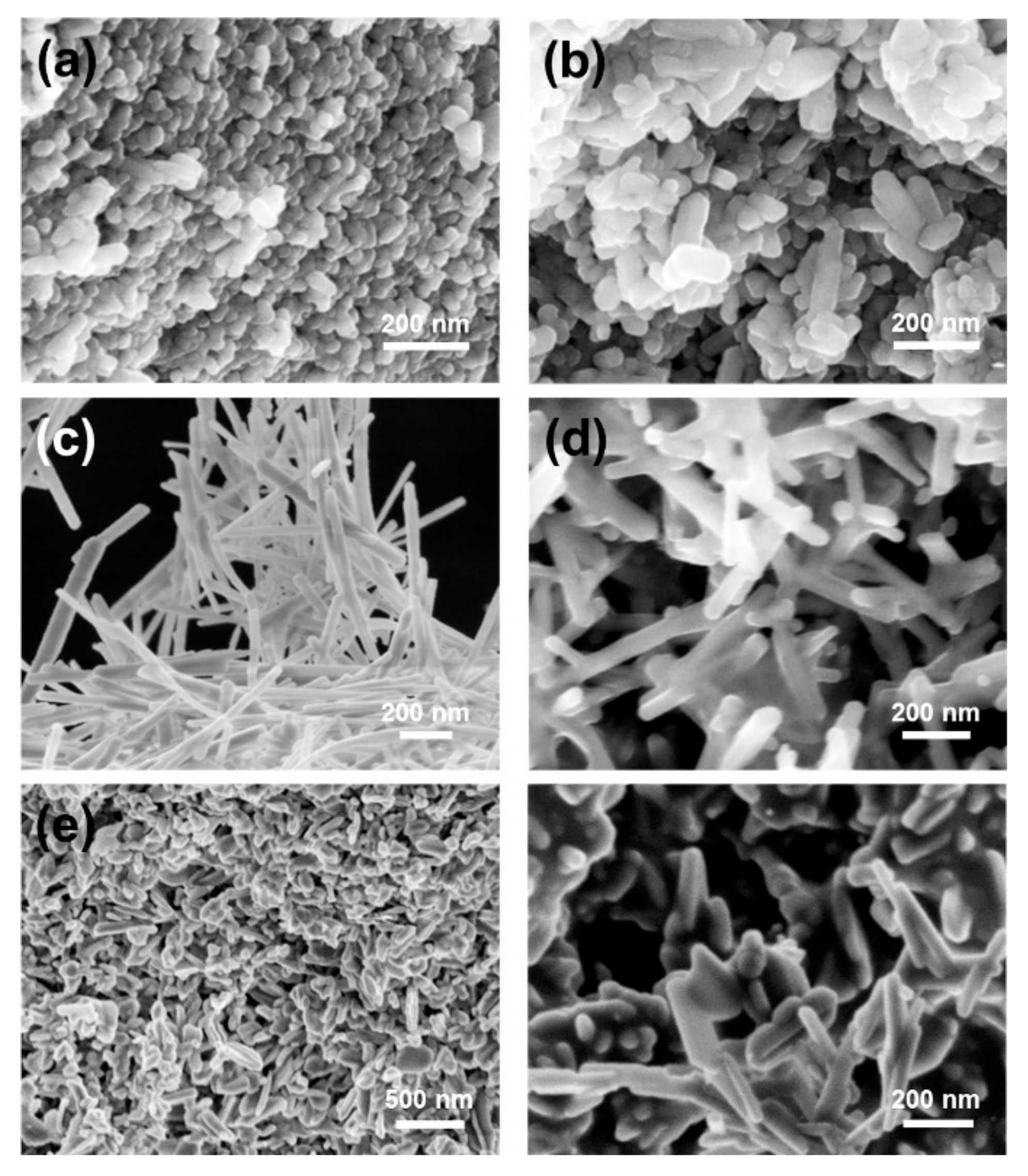 Molecules 26 03190 g004 Molecules 26 03190 g004