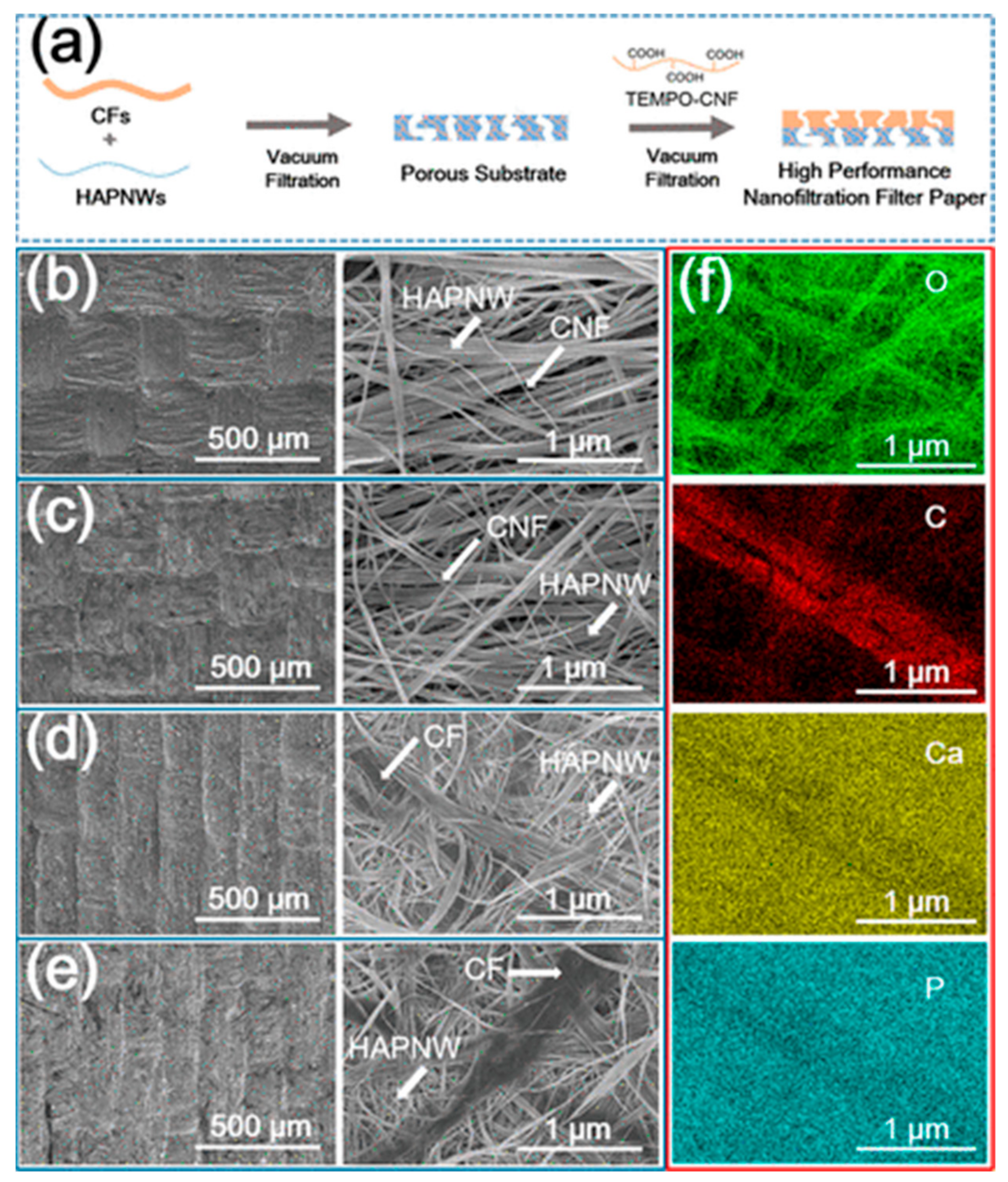 Molecules 26 03190 g007 Molecules 26 03190 g007