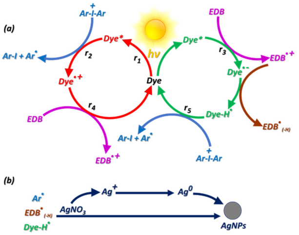 Molecules 26 03192 g019 Molecules 26 03192 g019