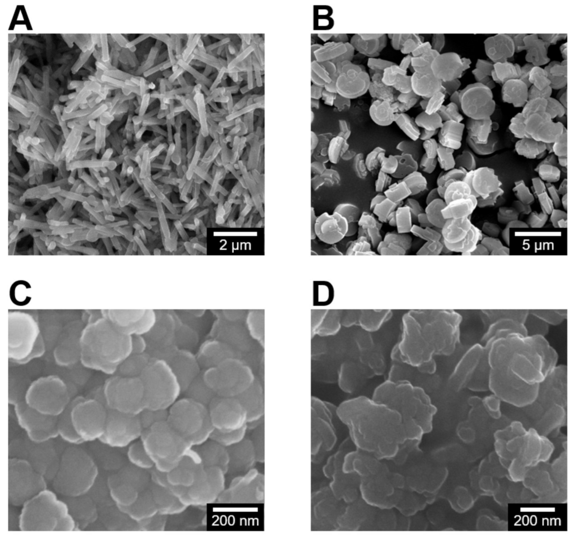 Molecules 26 03194 g001