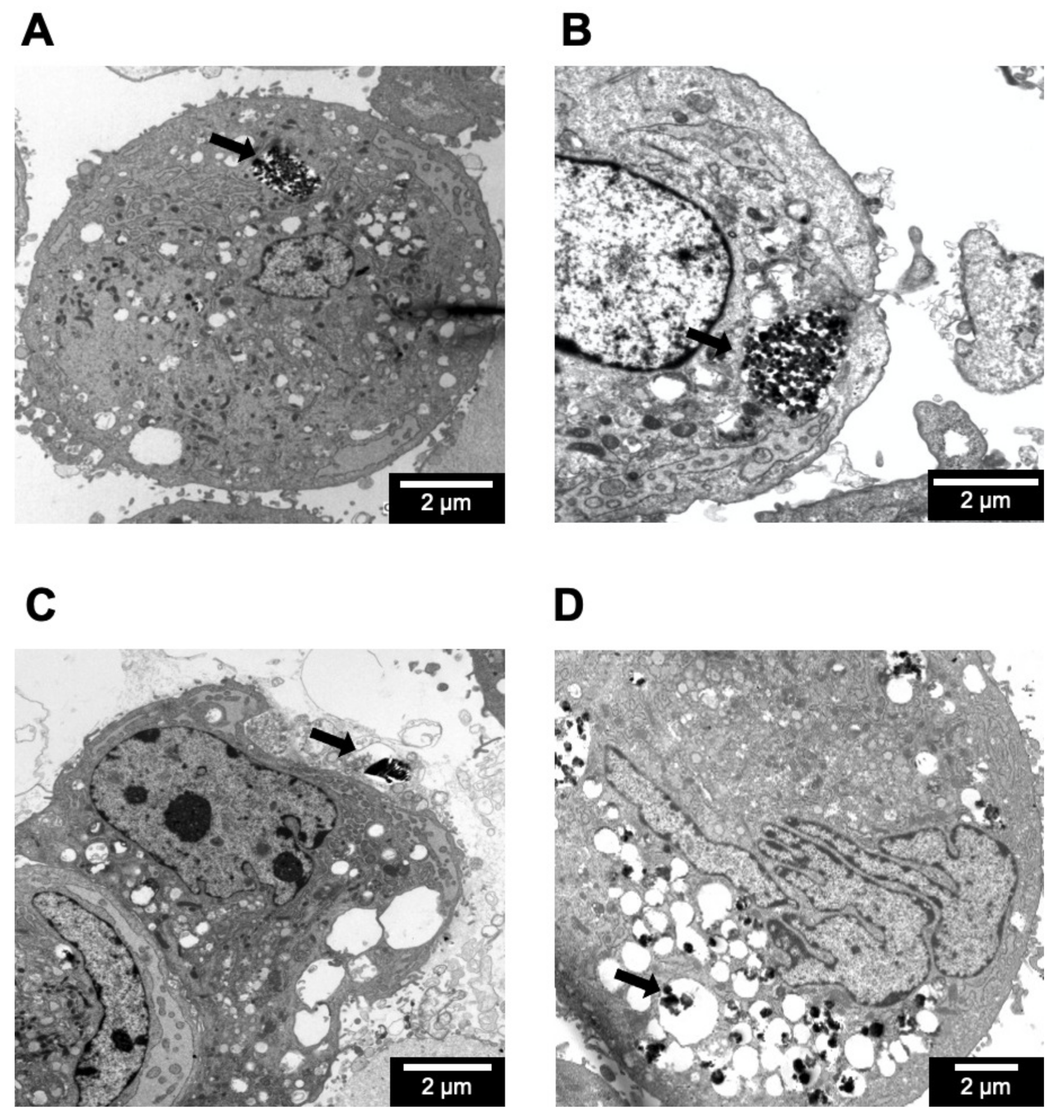 Molecules 26 03194 g008
