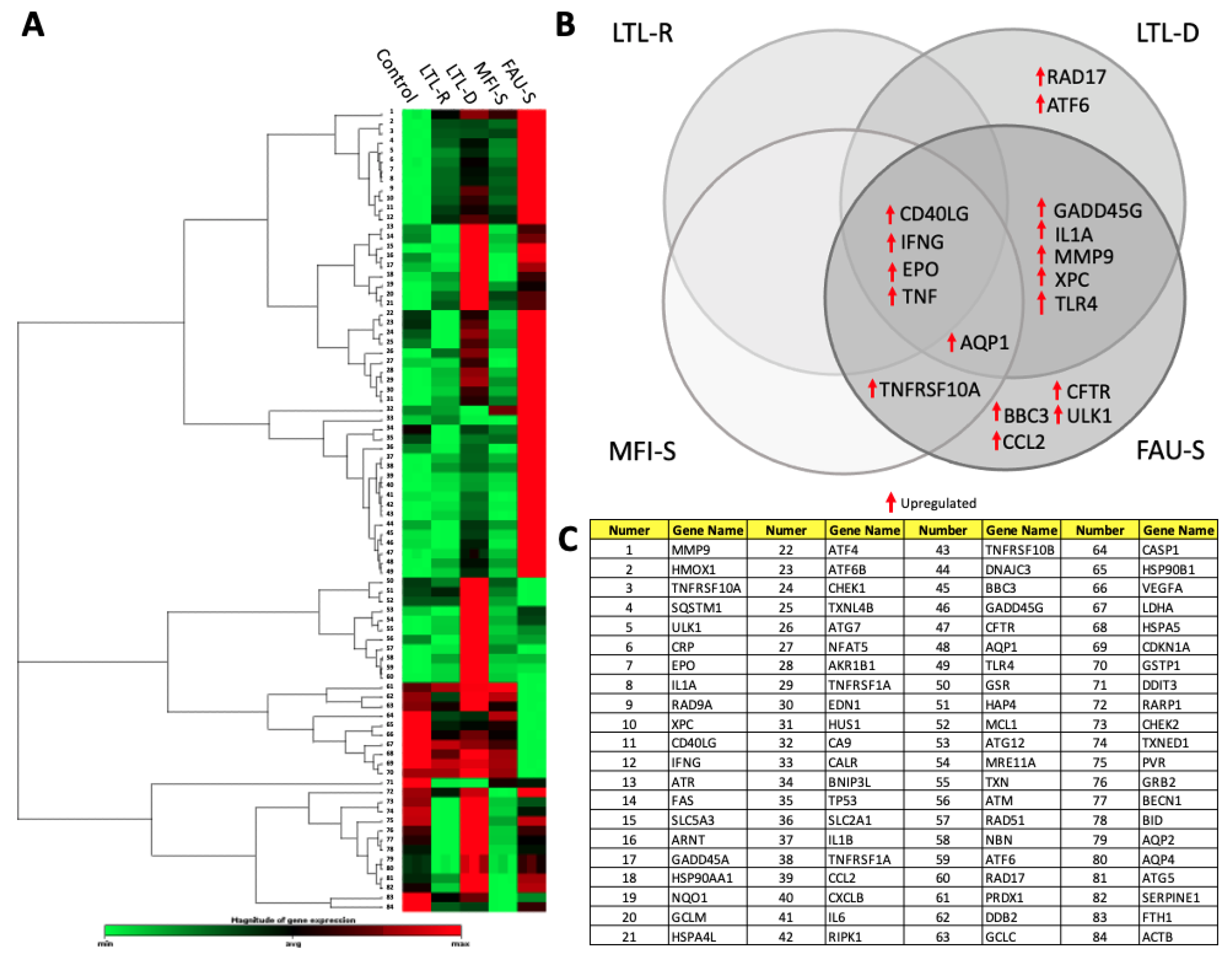 Molecules 26 03194 g009