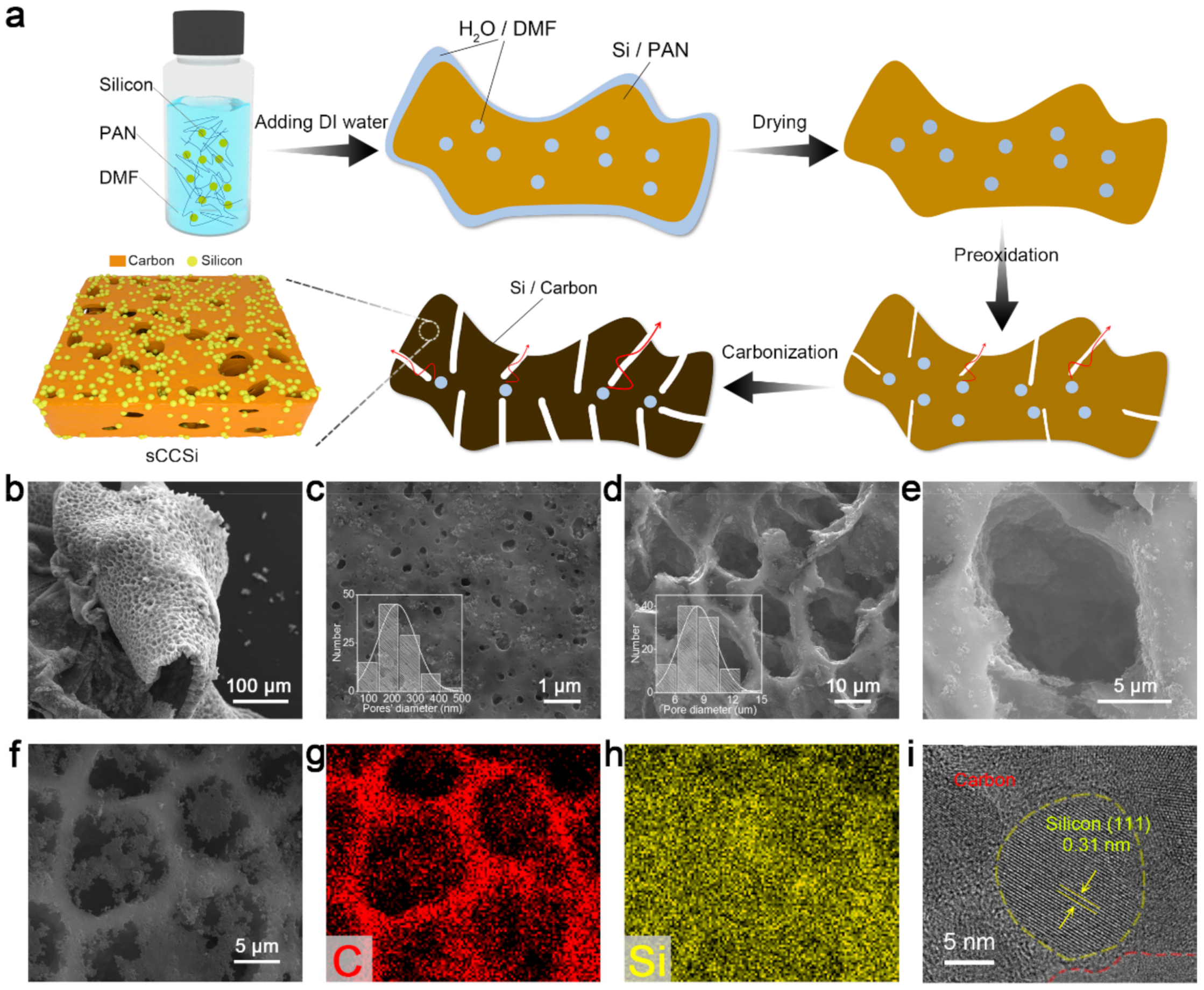 Molecules 26 03211 g001 Molecules 26 03211 g001