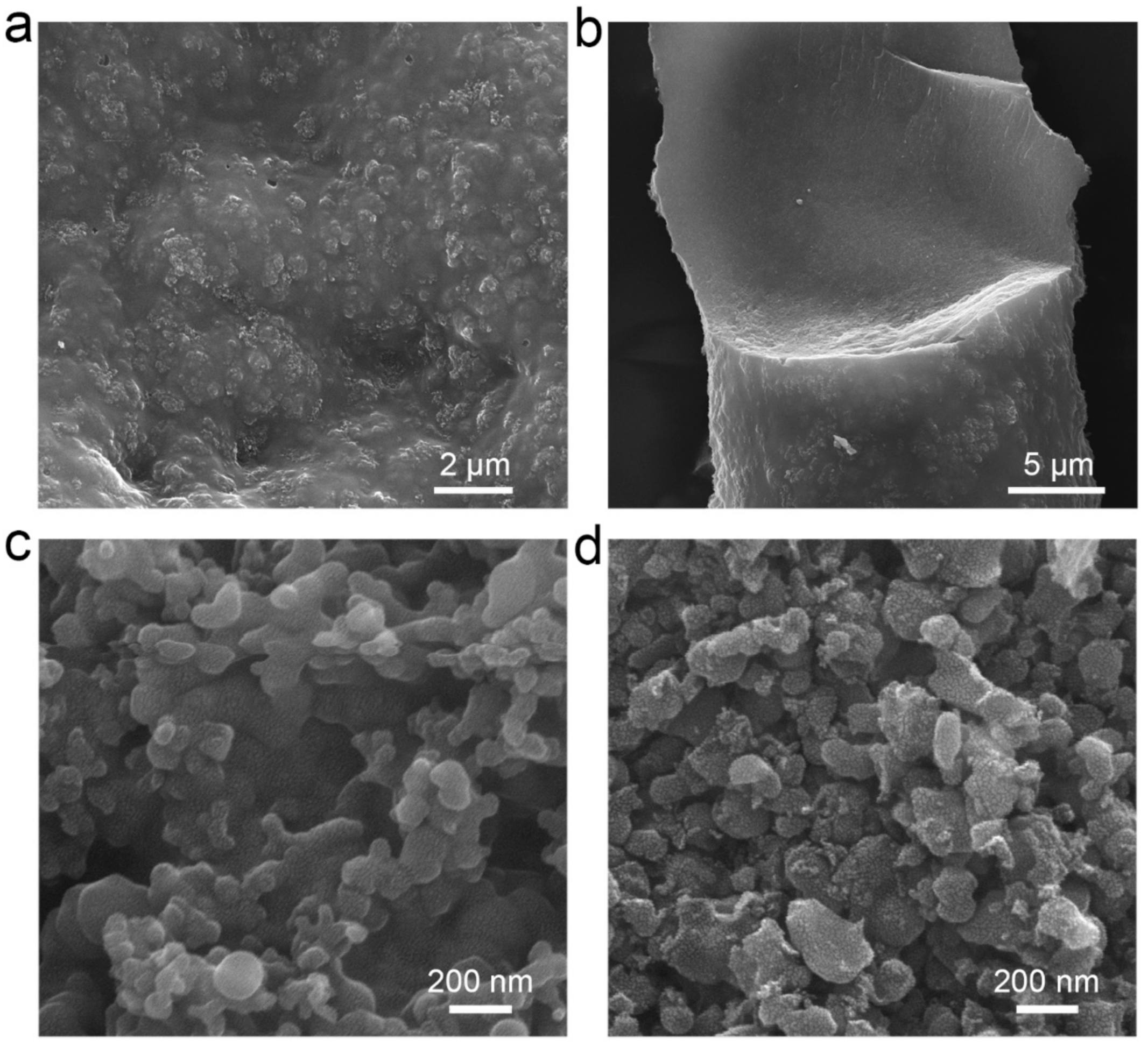 Molecules 26 03211 g003 Molecules 26 03211 g003