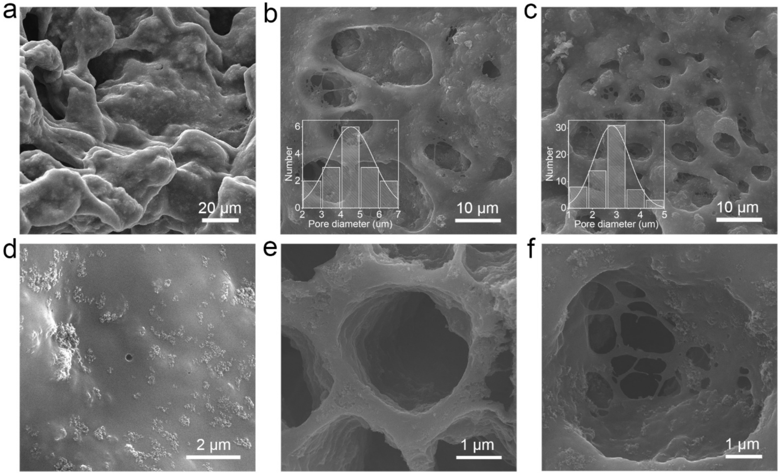 Molecules 26 03211 g004 Molecules 26 03211 g004