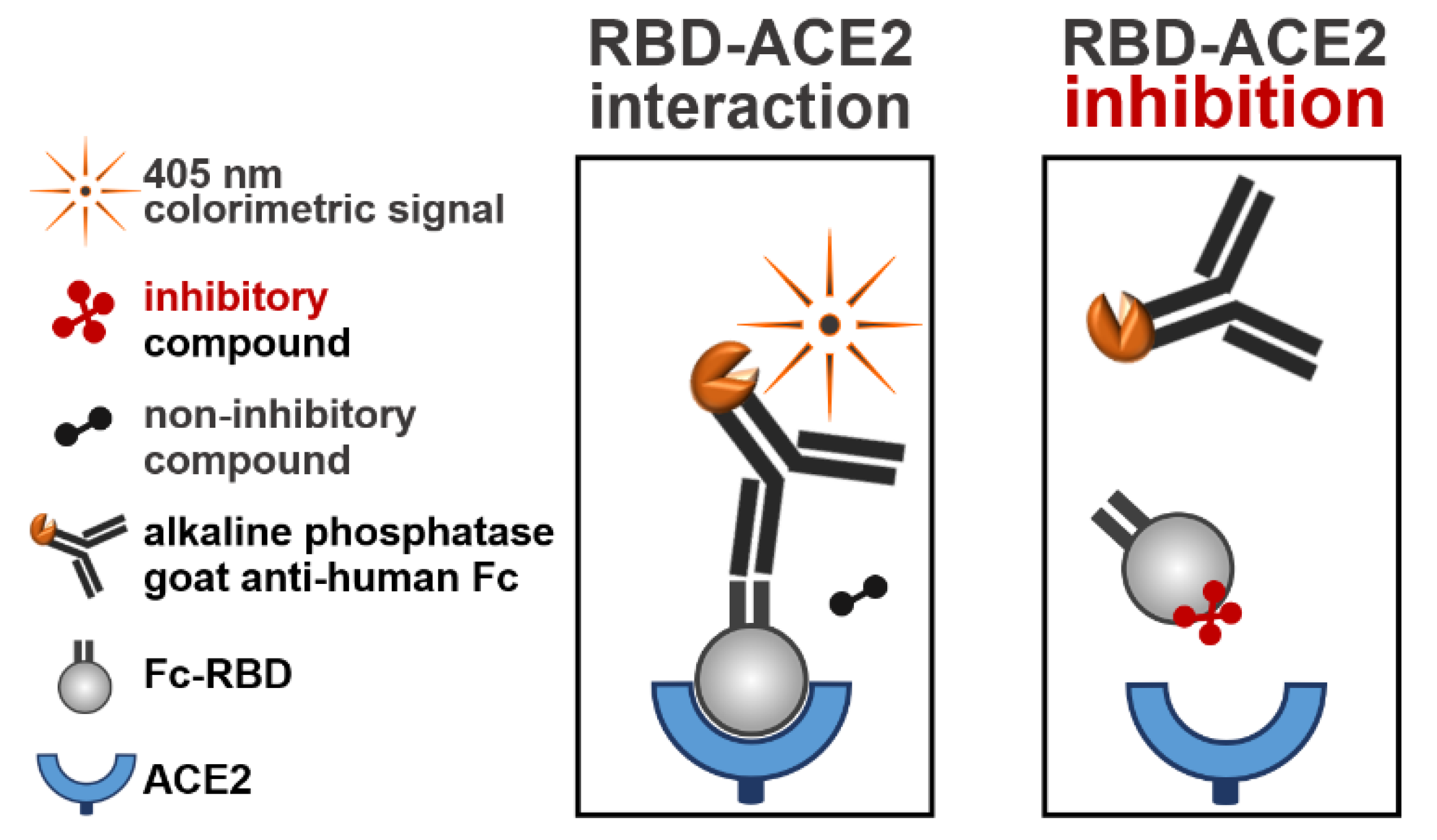Molecules 26 03213 g001
