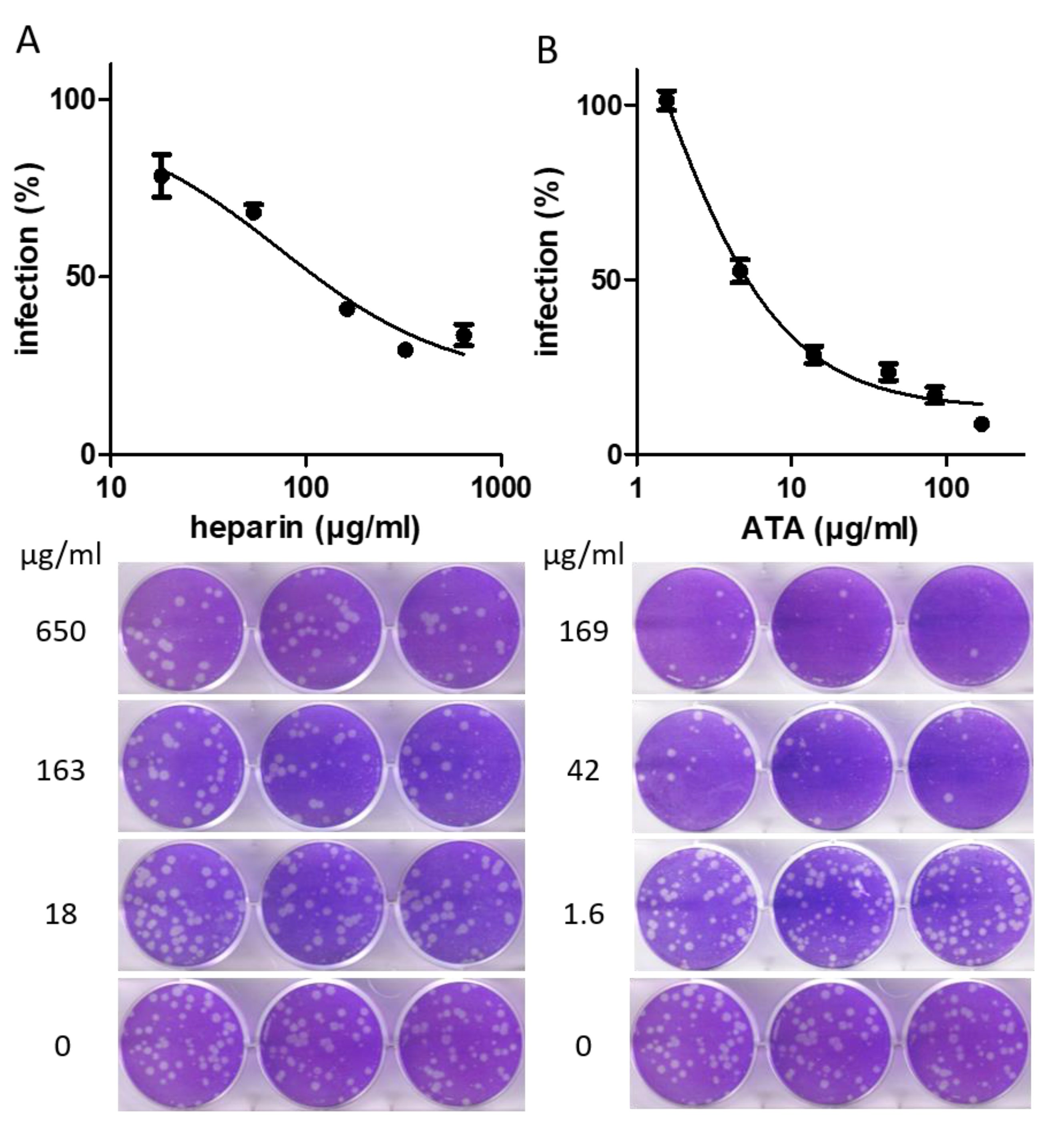 Molecules 26 03213 g004