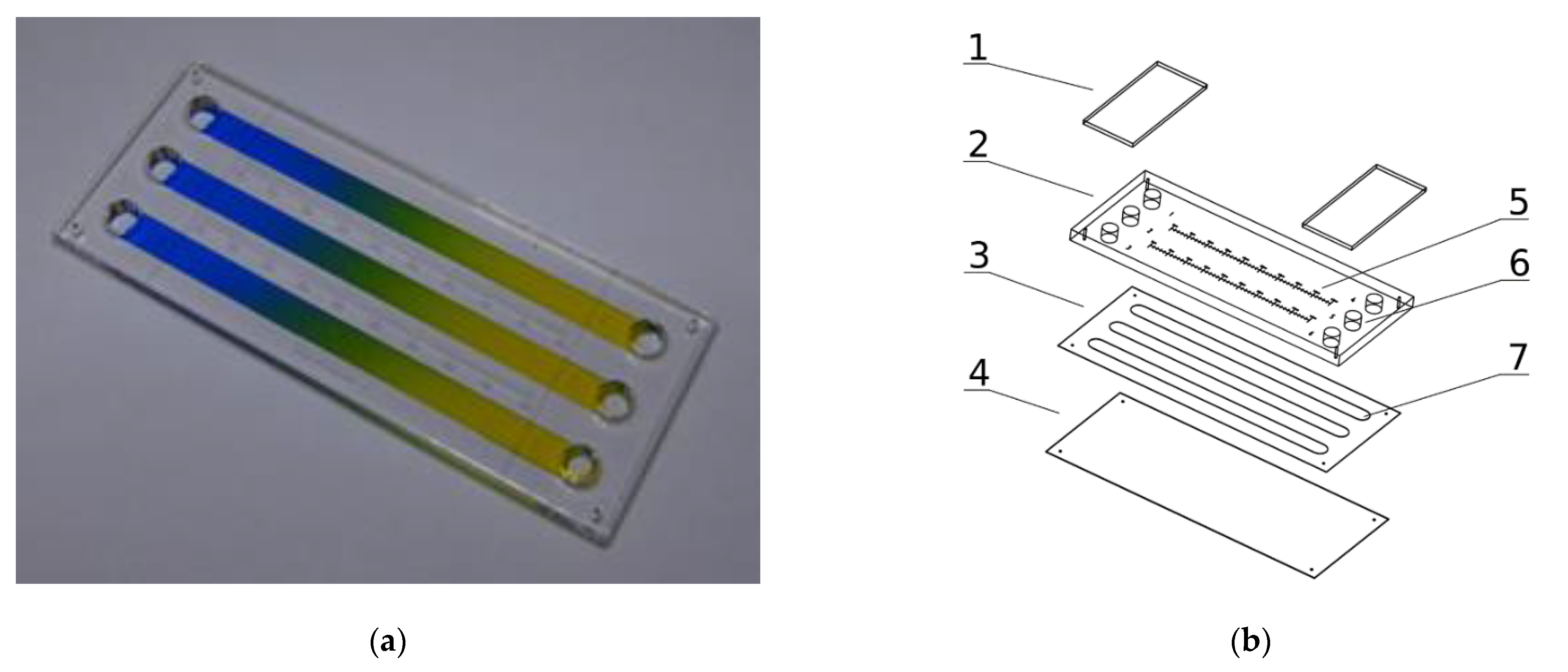 Molecules 26 03215 g001 Molecules 26 03215 g001