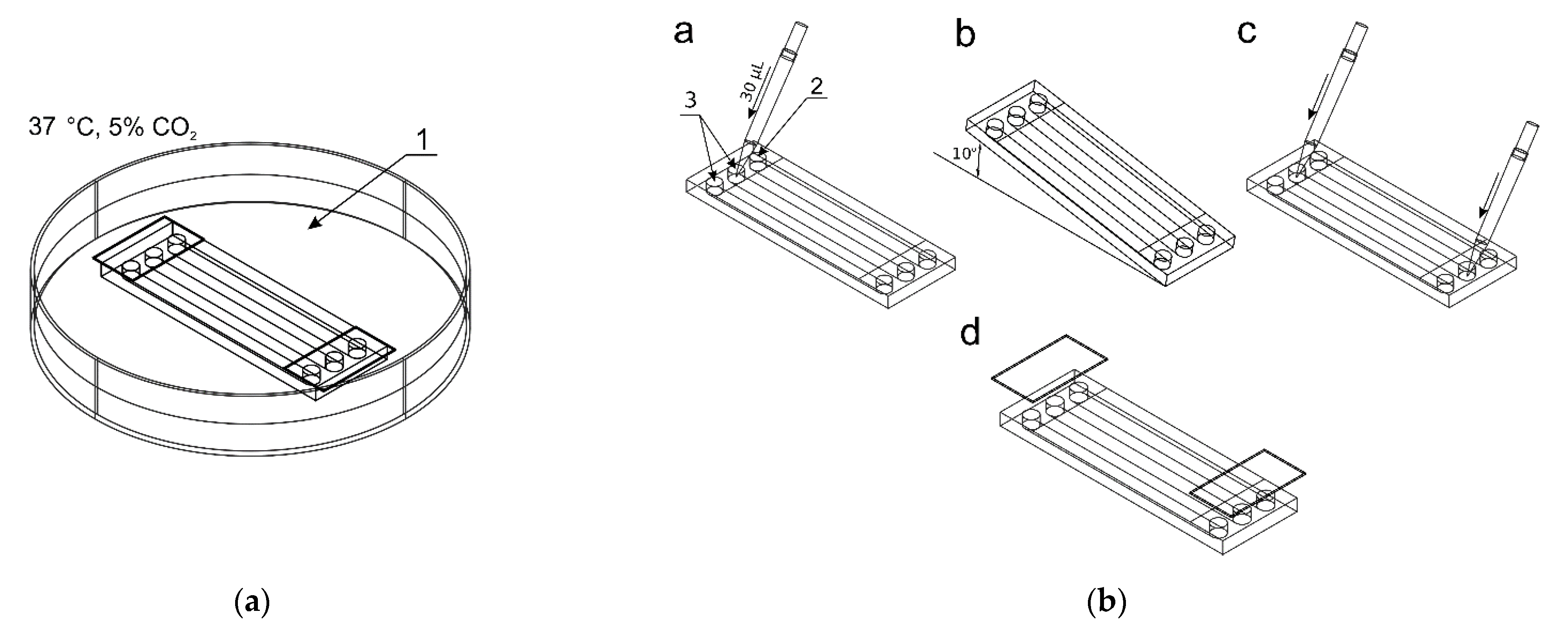 Molecules 26 03215 g002 Molecules 26 03215 g002