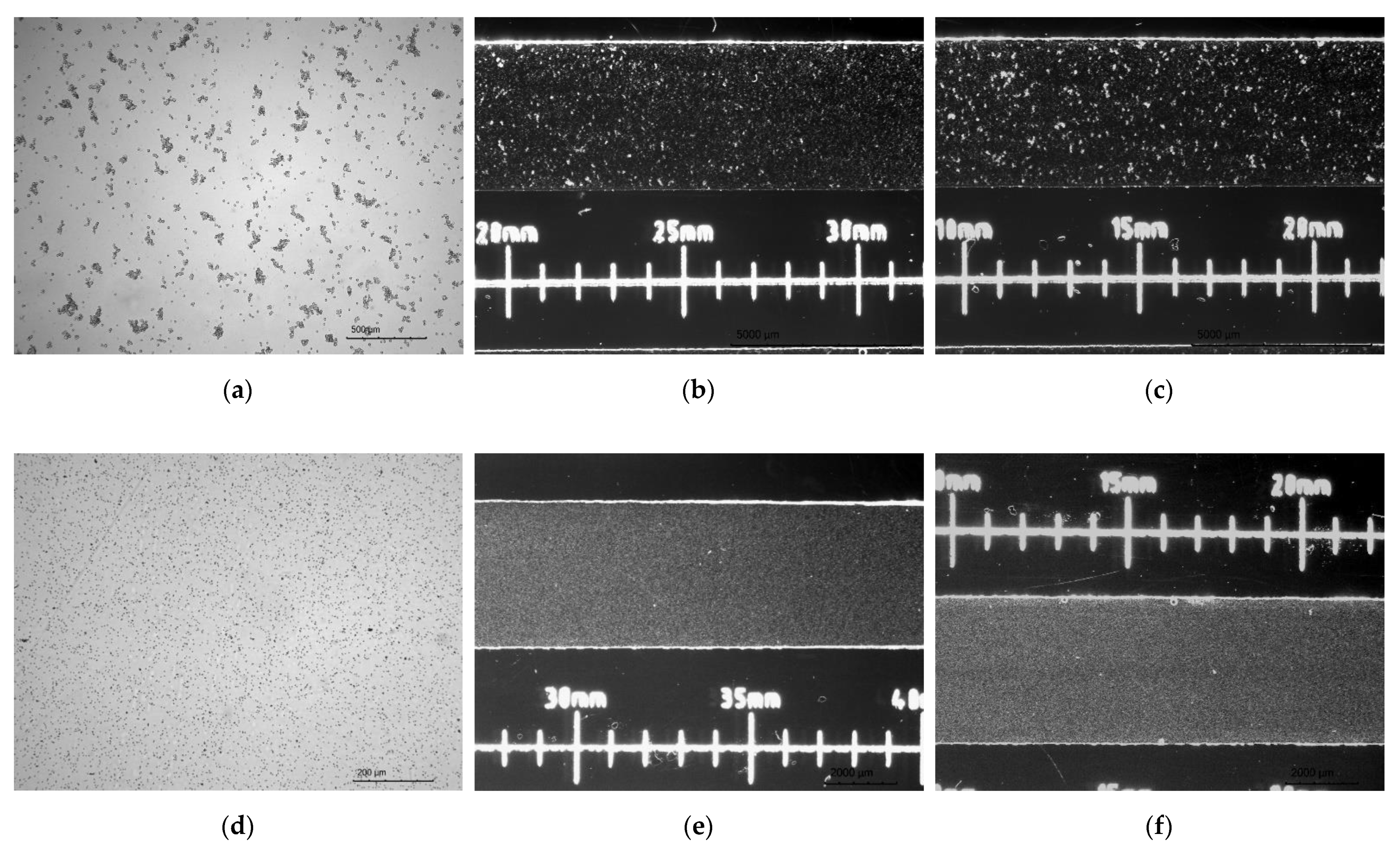 Molecules 26 03215 g003 Molecules 26 03215 g003