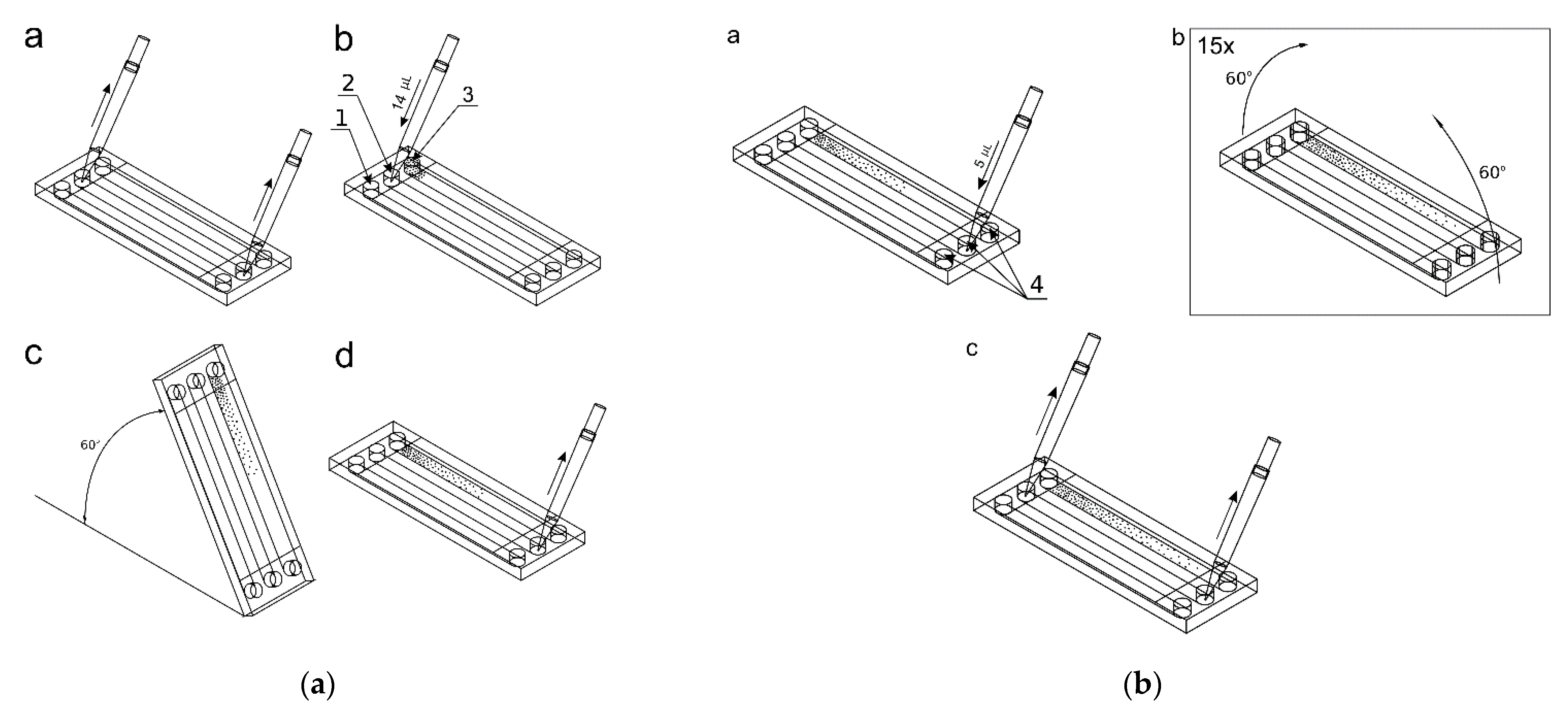 Molecules 26 03215 g004 Molecules 26 03215 g004