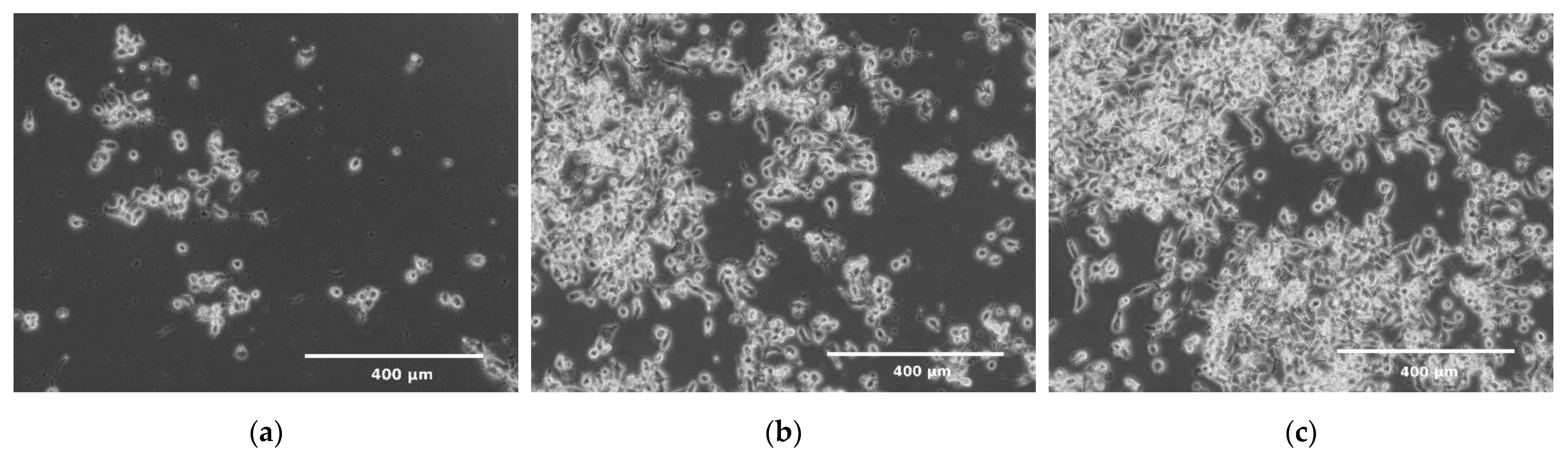 Molecules 26 03215 g005a Molecules 26 03215 g005a