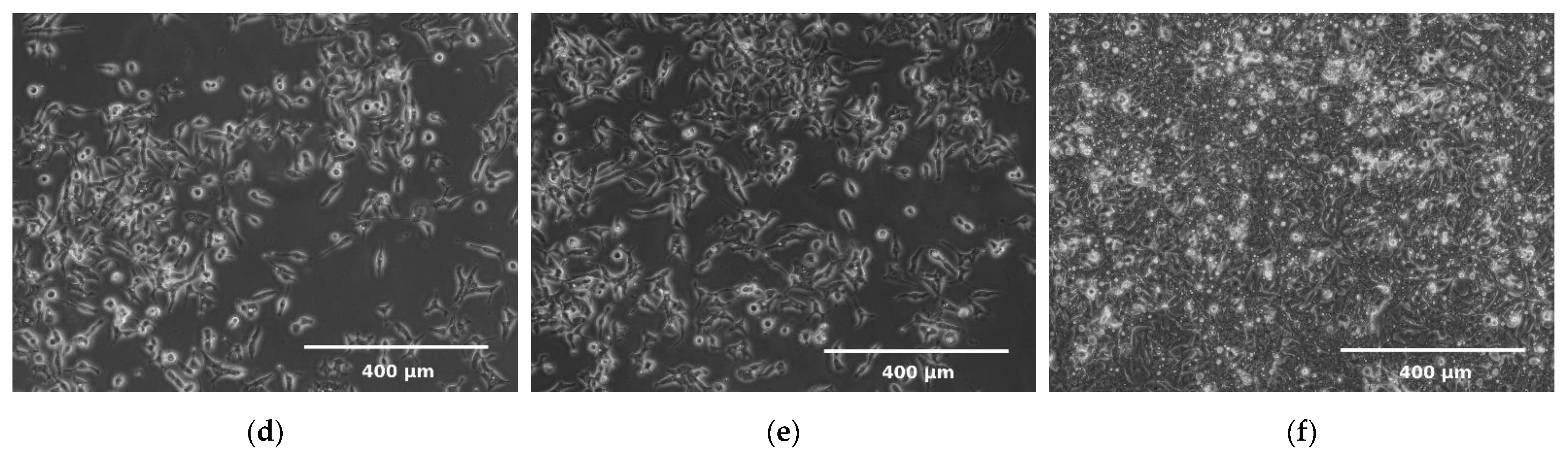 Molecules 26 03215 g005b Molecules 26 03215 g005b