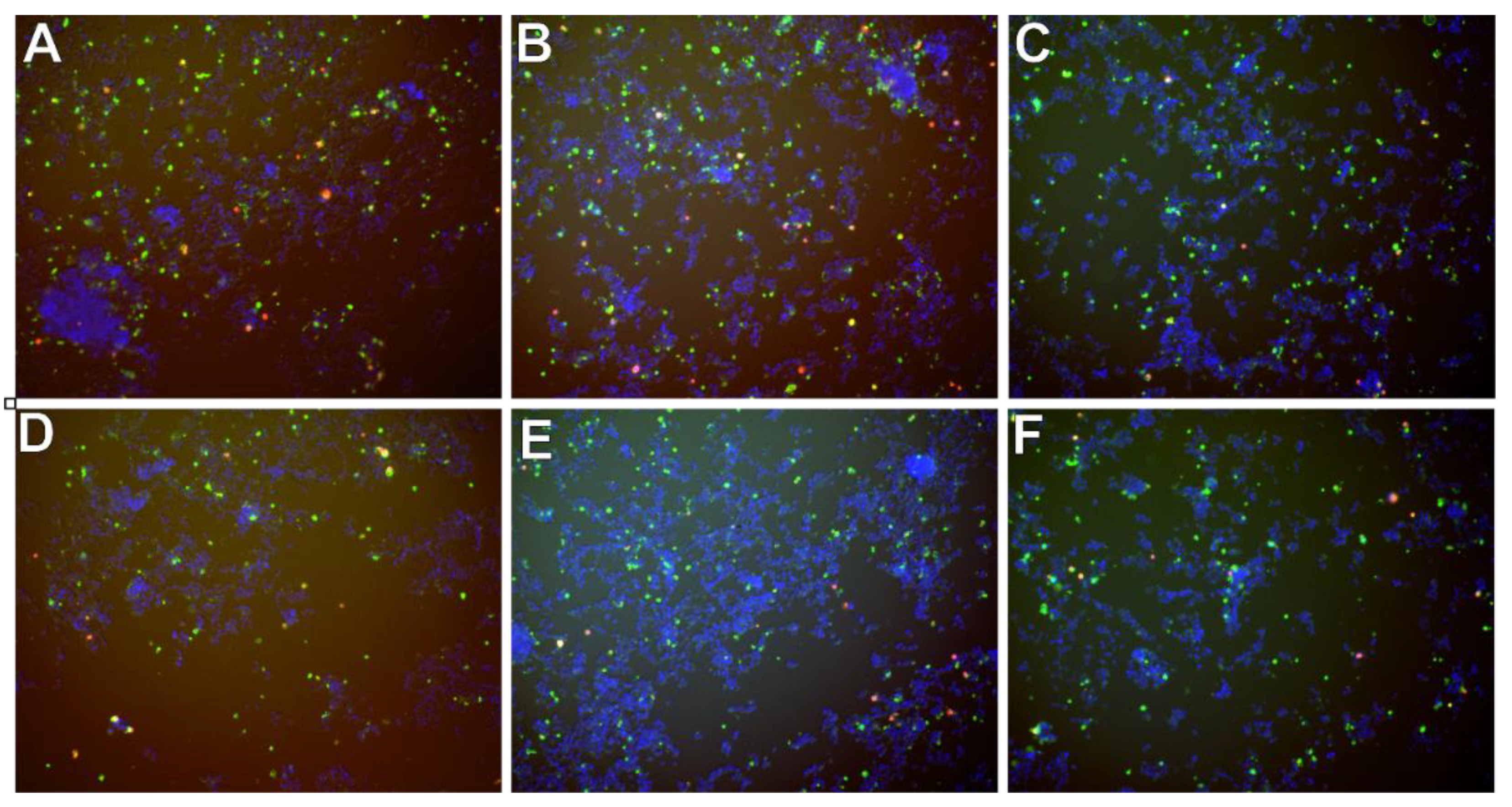 Molecules 26 03215 g009 Molecules 26 03215 g009