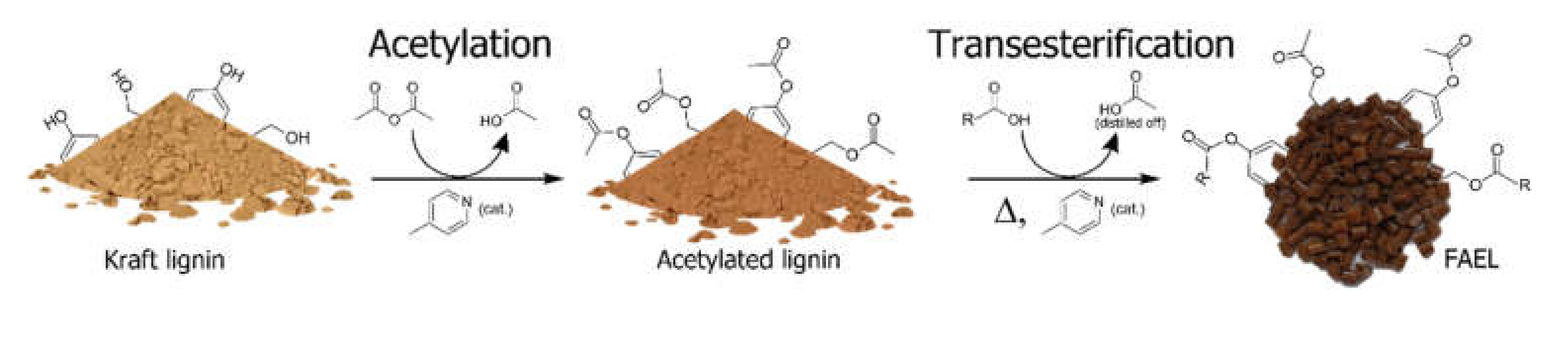 Molecules 26 03219 g001