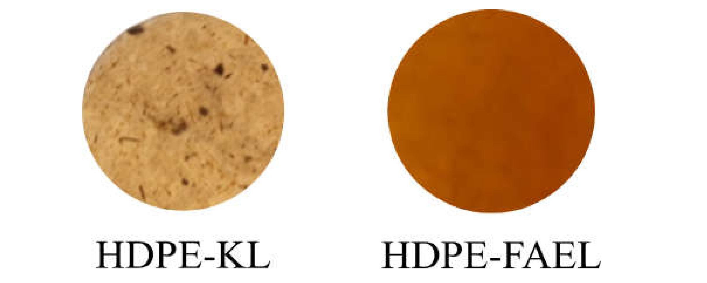 Molecules 26 03219 g004