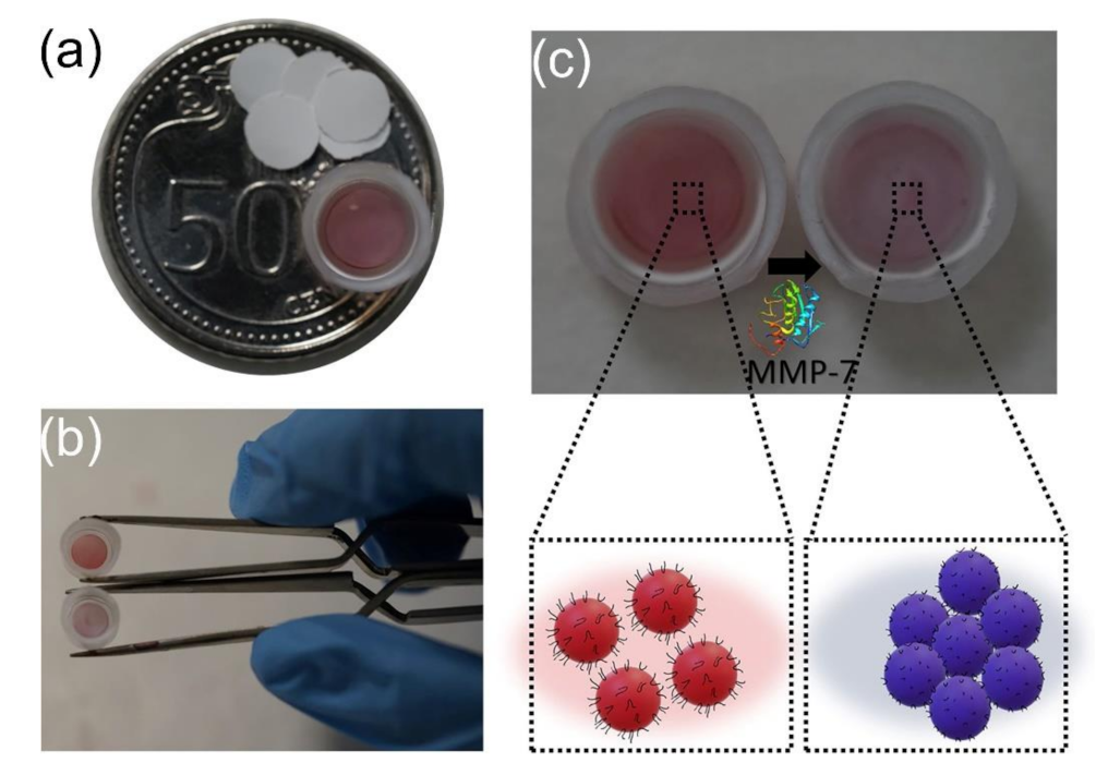 Molecules 26 03228 g004