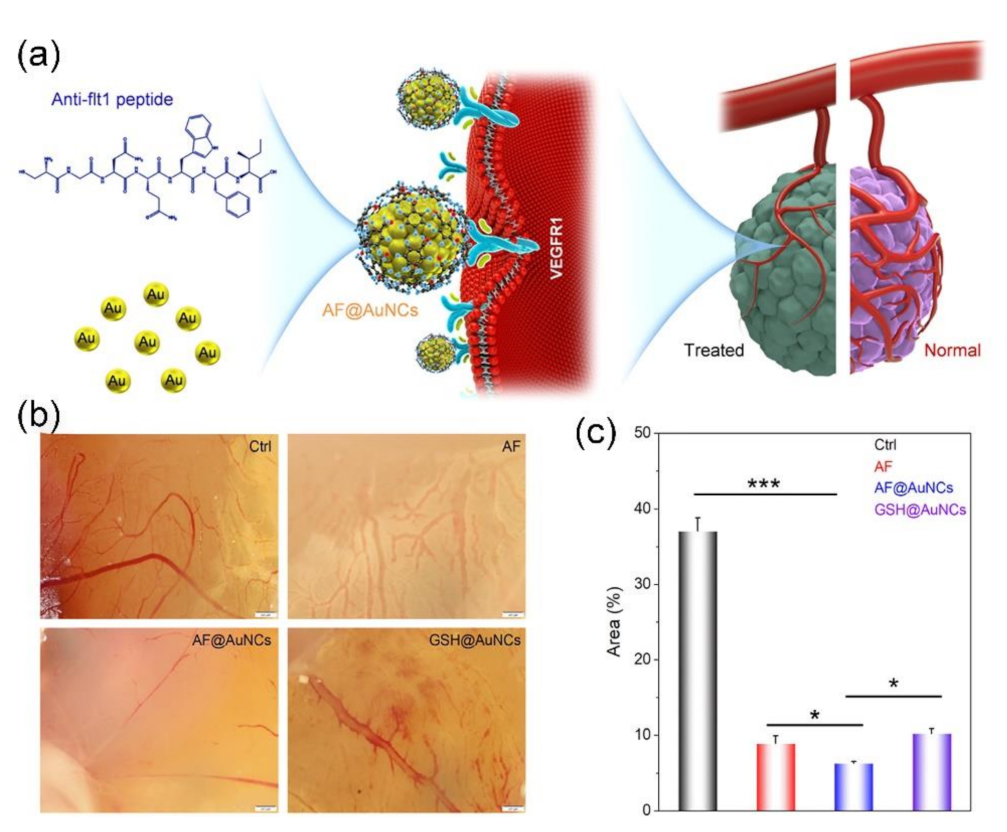 Molecules 26 03228 g007