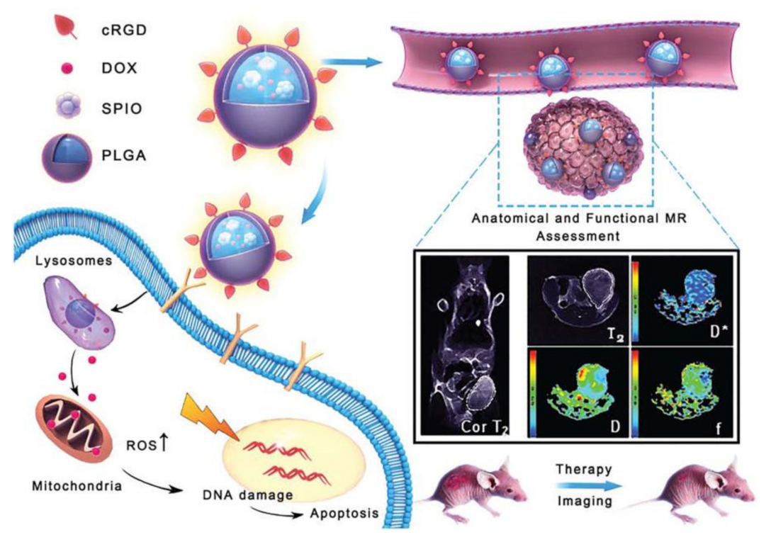 Molecules 26 03228 g009